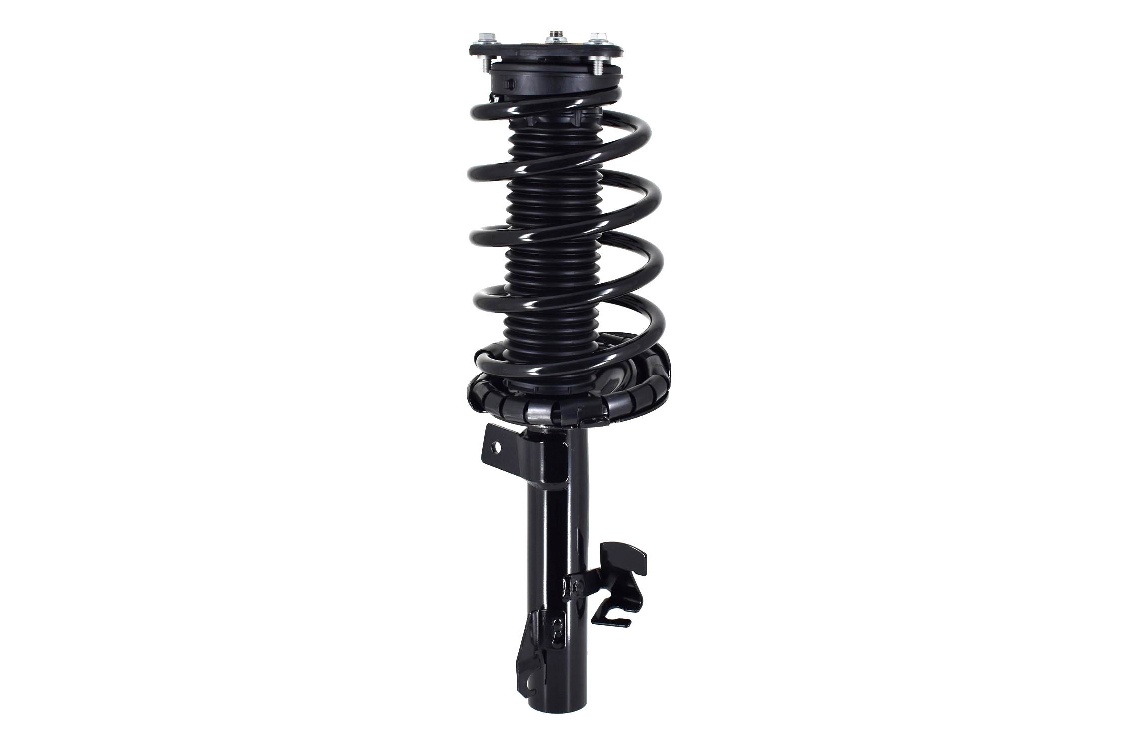 Suspension Strut and Coil Spring Assembly