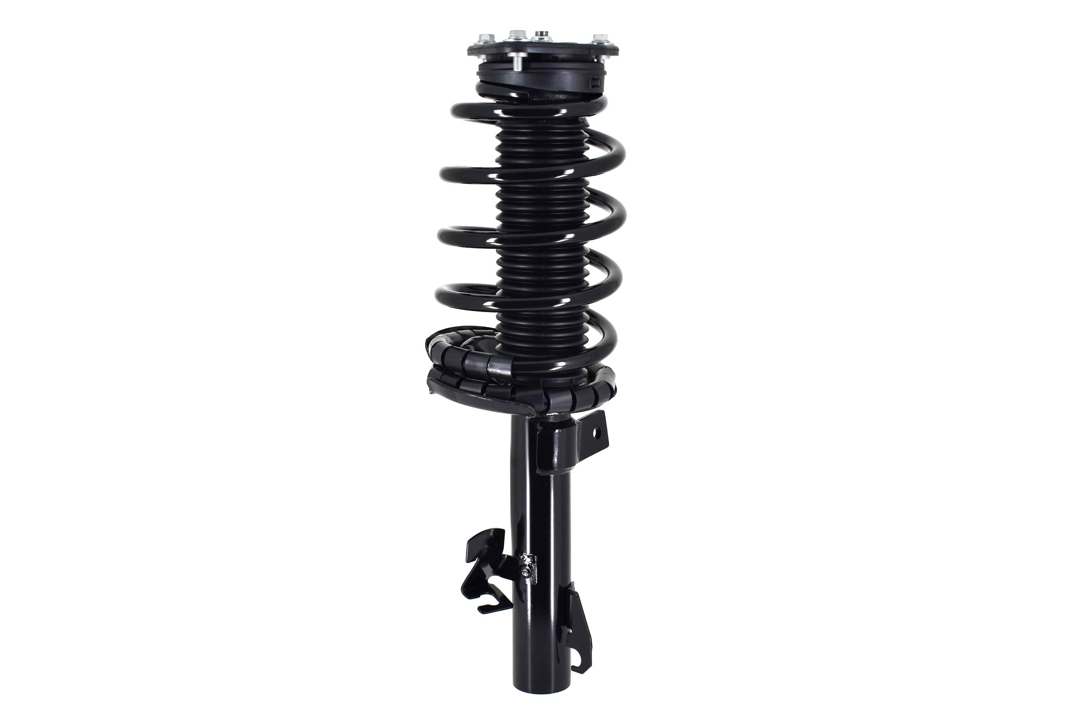 Suspension Strut and Coil Spring Assembly
