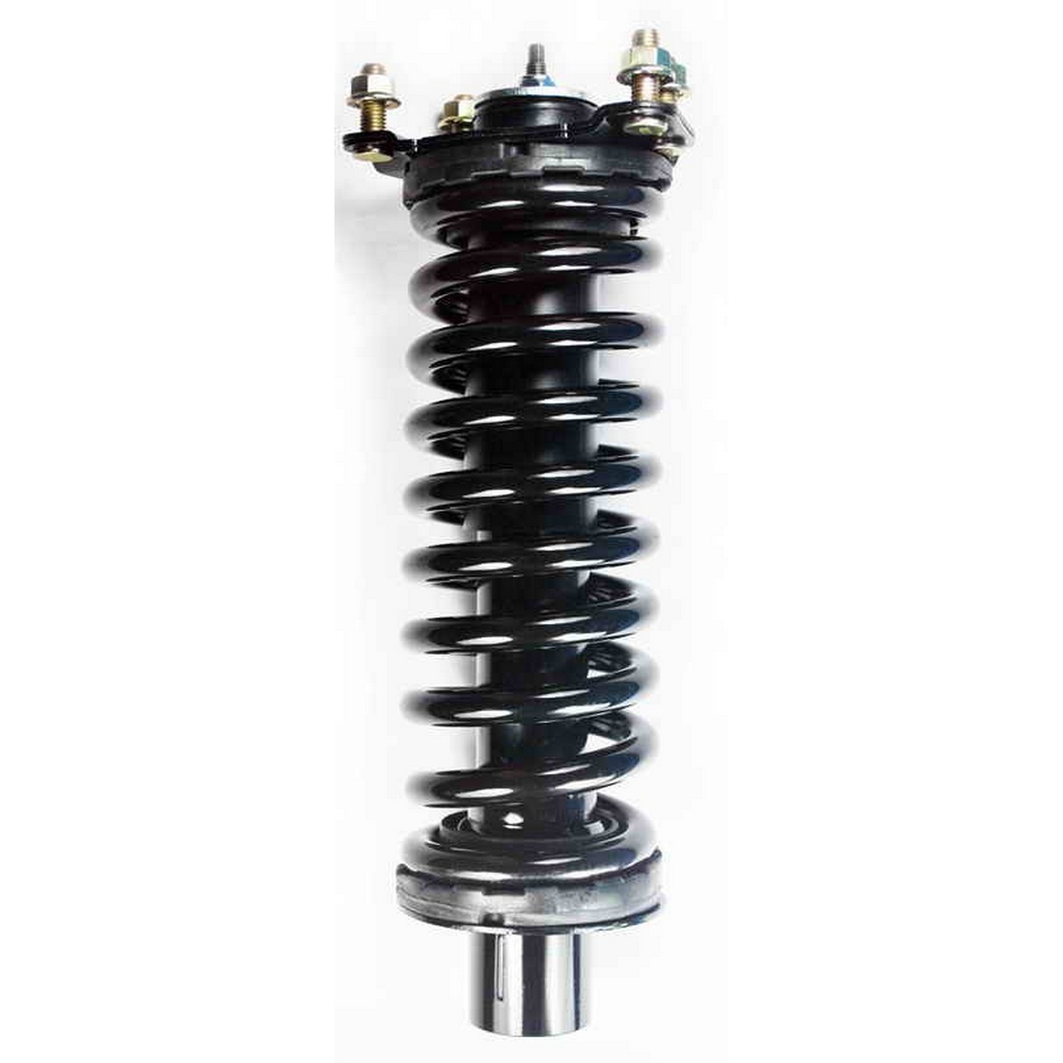 Suspension Strut and Coil Spring Assembly