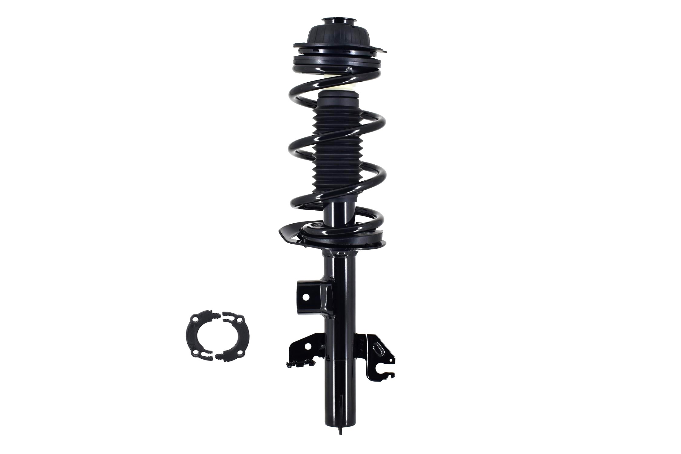 Suspension Strut and Coil Spring Assembly