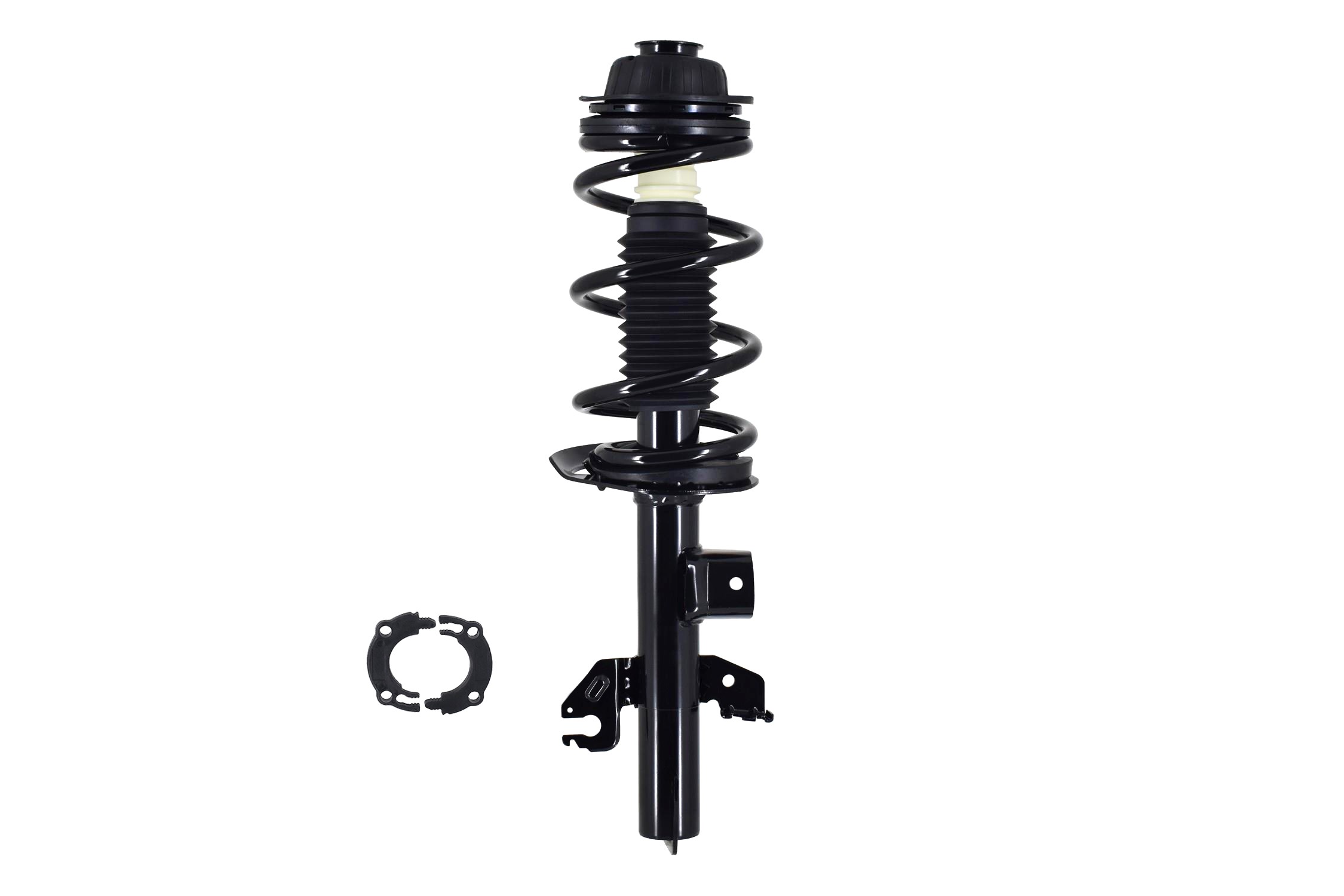 Suspension Strut and Coil Spring Assembly