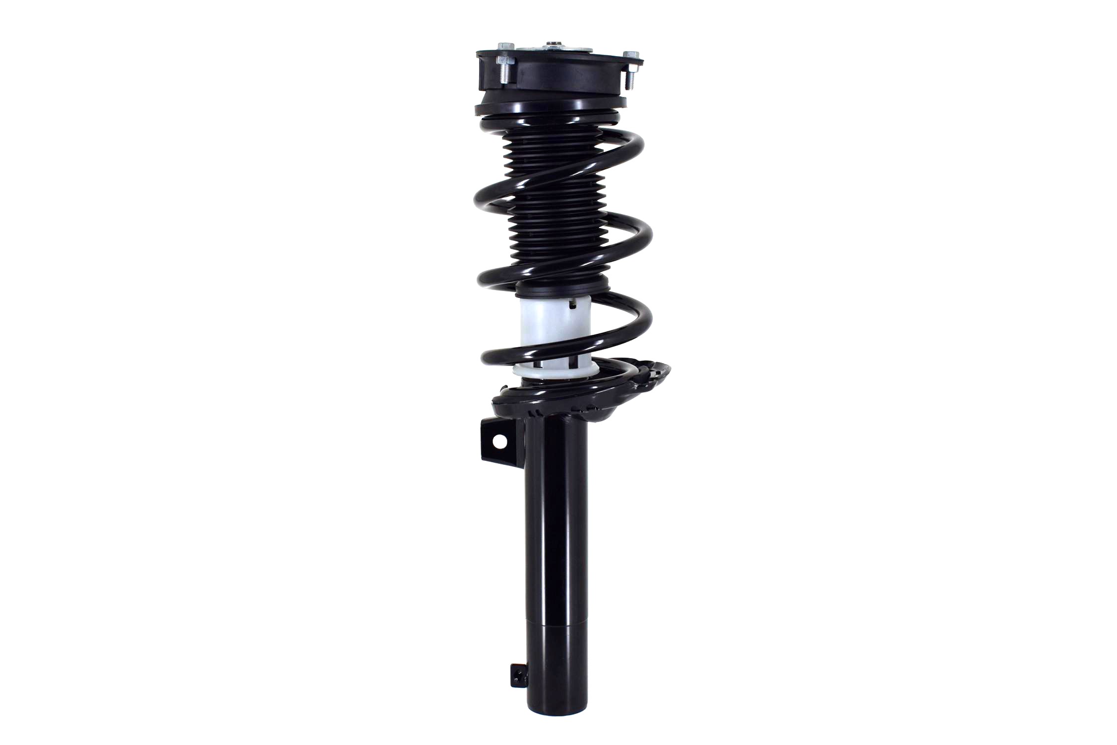 Suspension Strut and Coil Spring Assembly
