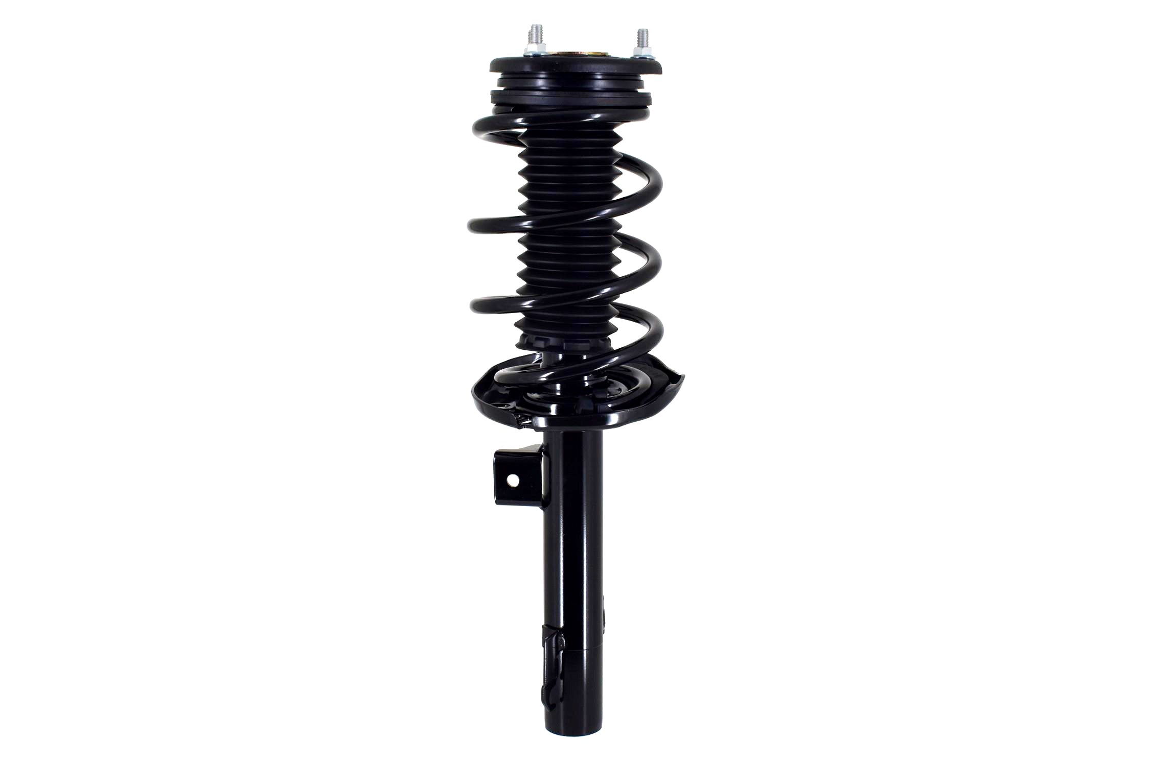 Suspension Strut and Coil Spring Assembly