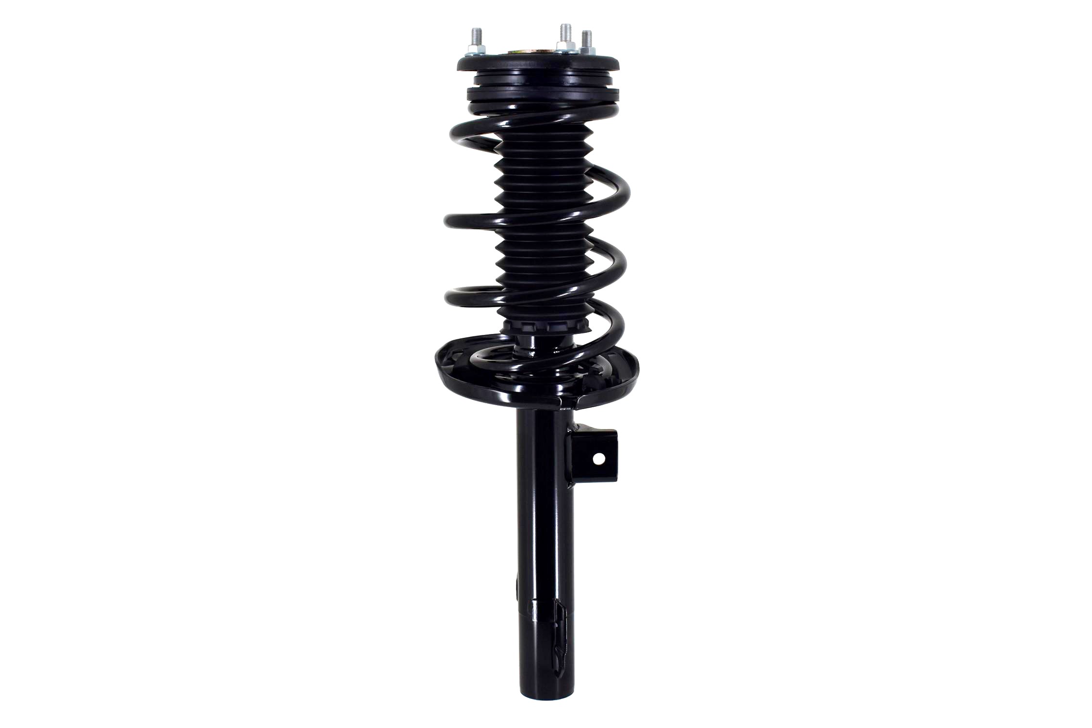 Suspension Strut and Coil Spring Assembly