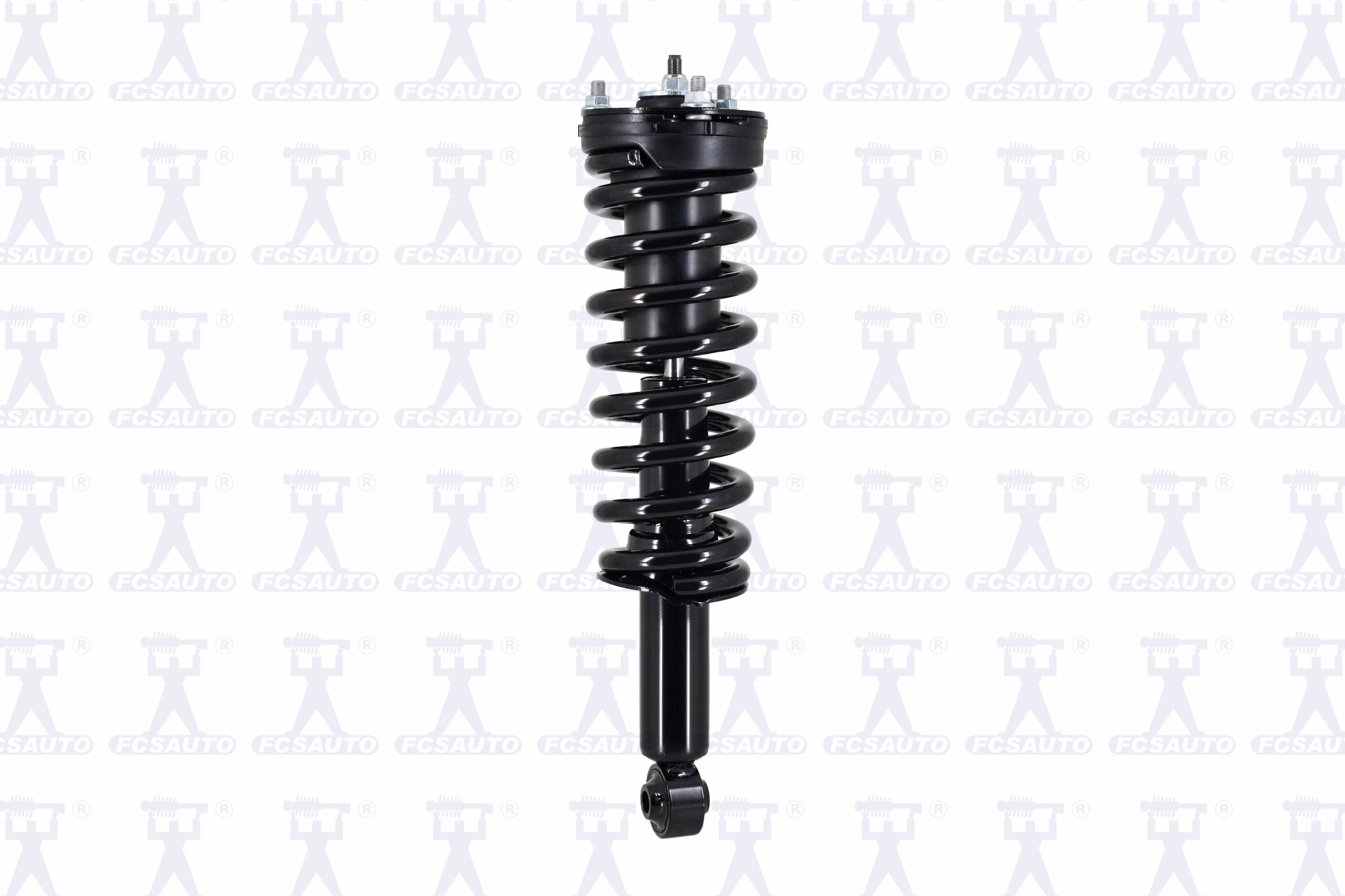 Suspension Strut and Coil Spring Assembly