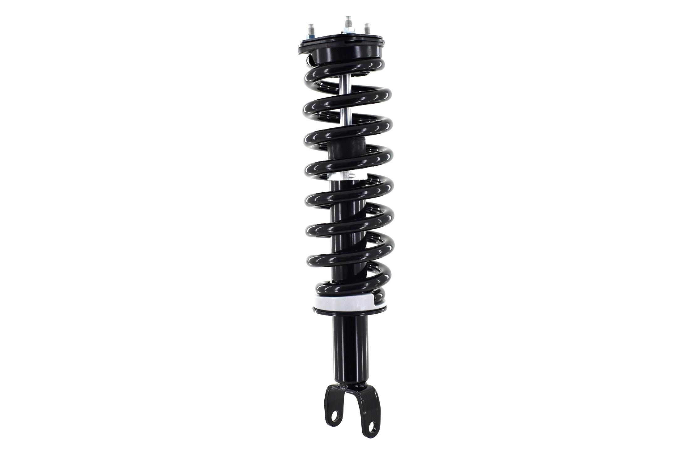 Suspension Strut and Coil Spring Assembly