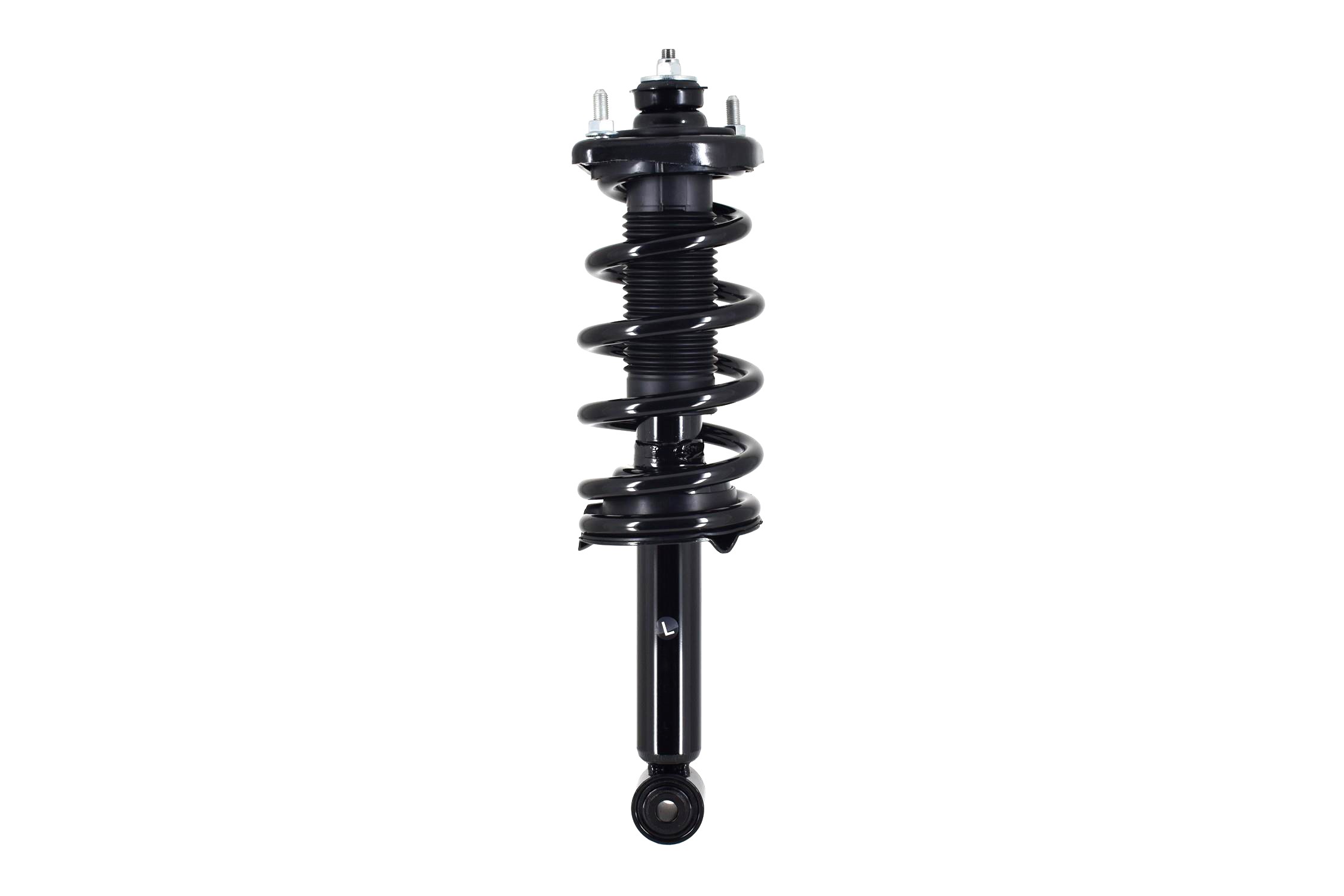 Suspension Strut and Coil Spring Assembly