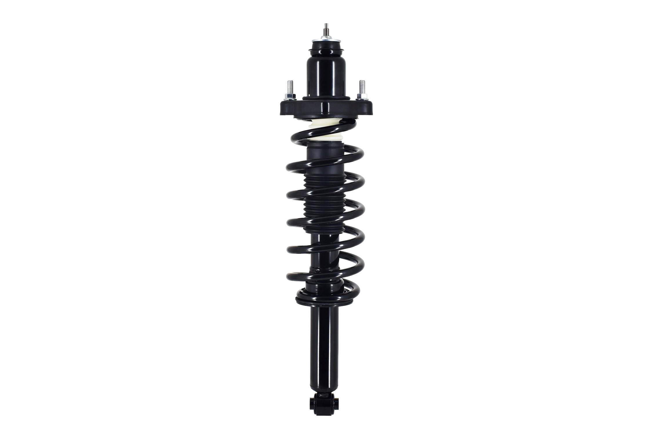 Suspension Strut and Coil Spring Assembly