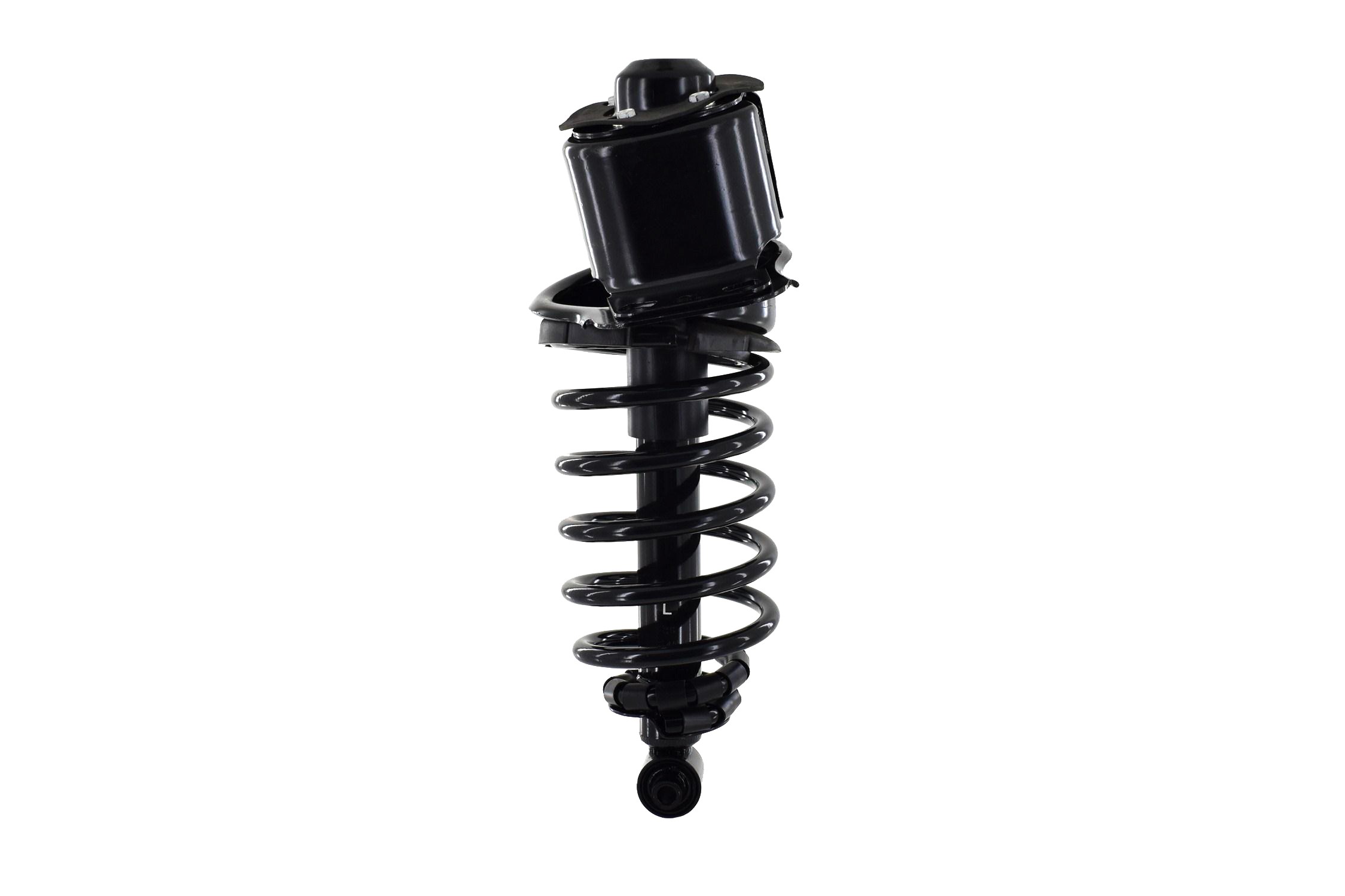 Suspension Strut and Coil Spring Assembly