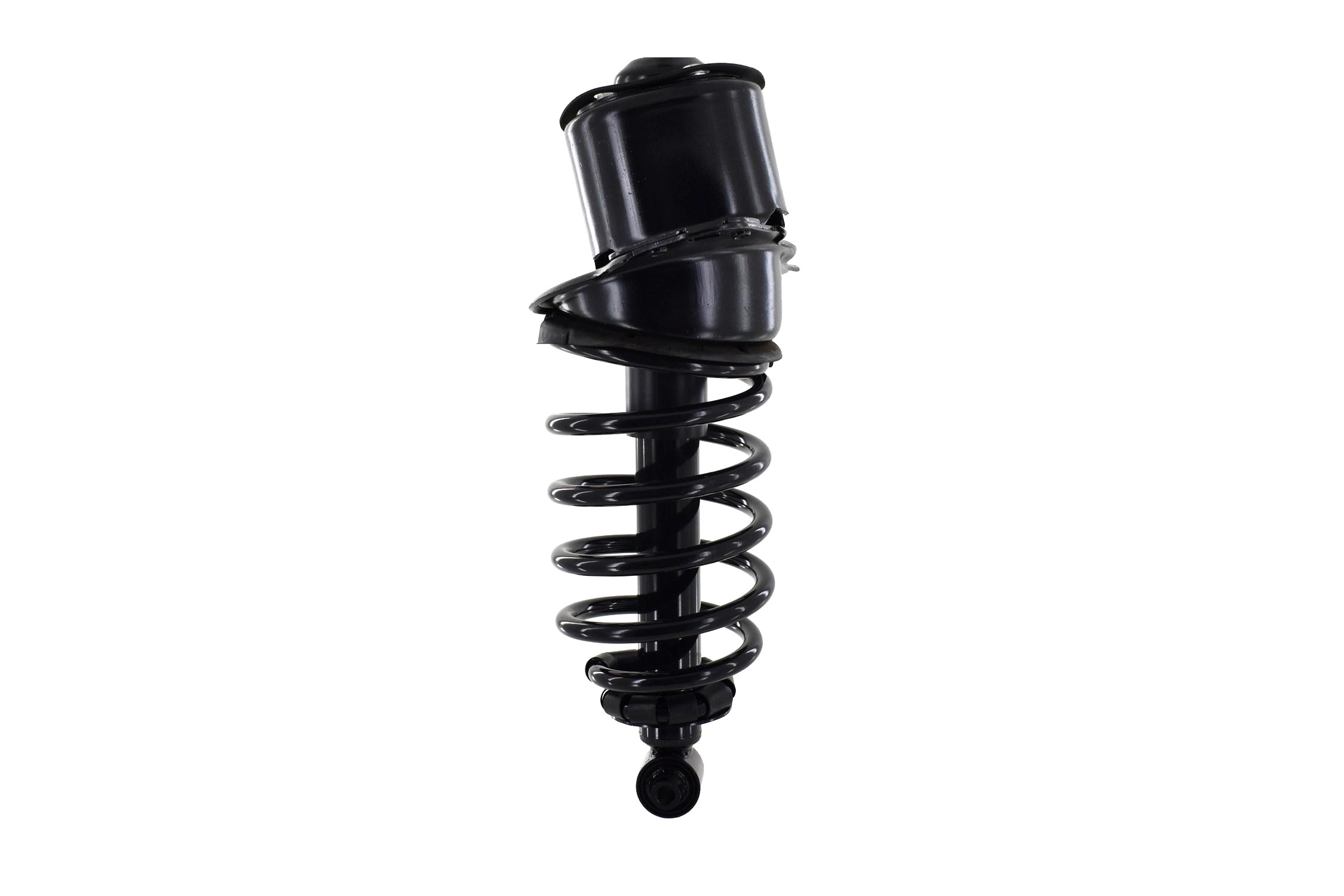 Suspension Strut and Coil Spring Assembly