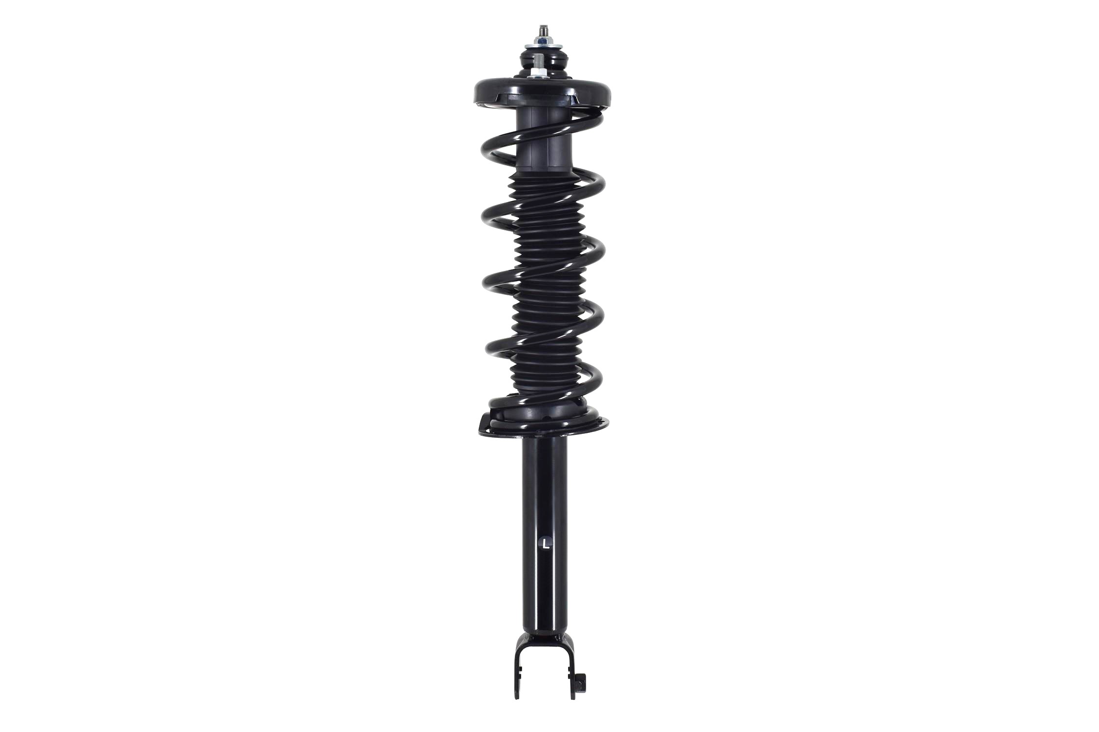 Suspension Strut and Coil Spring Assembly