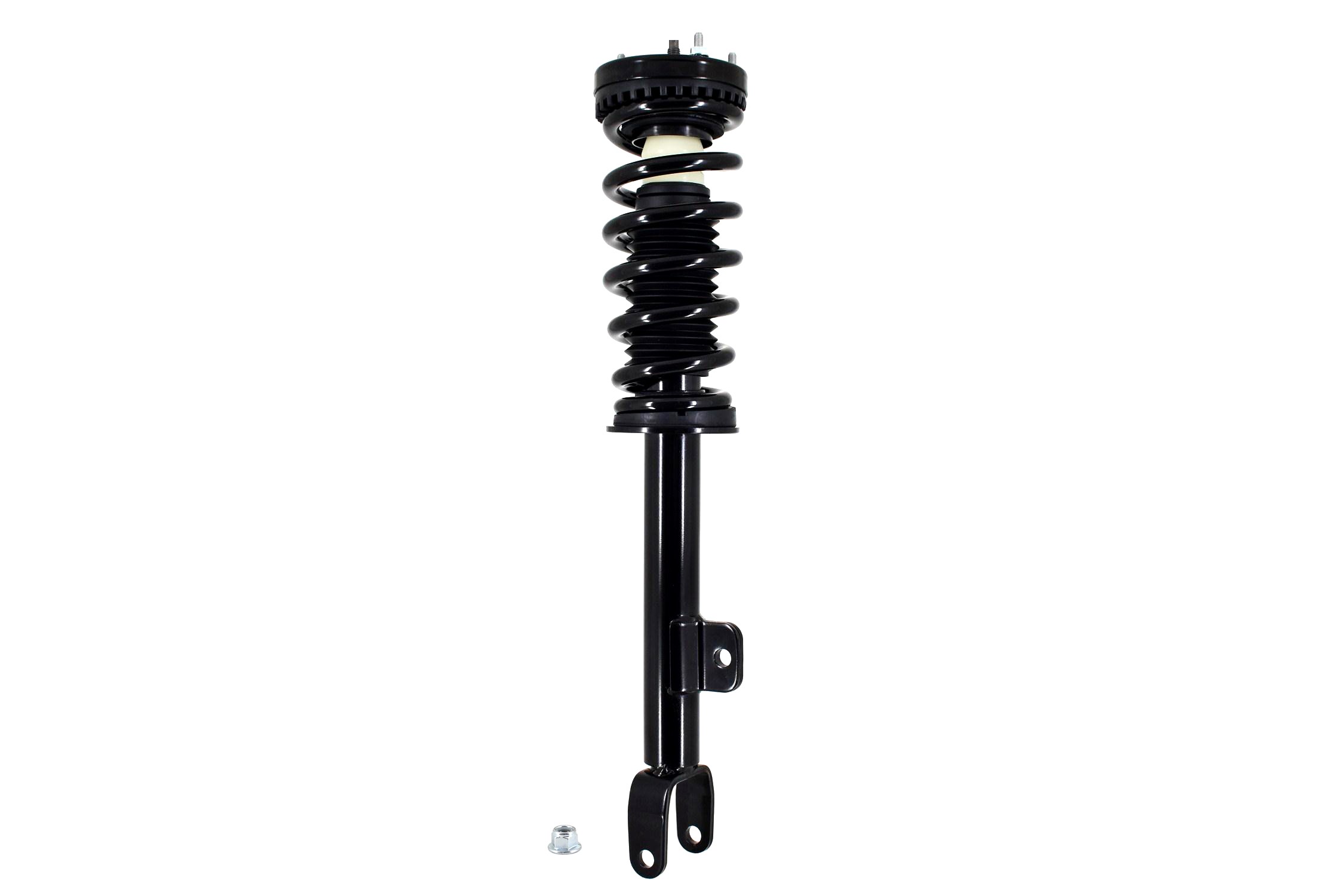 Suspension Strut and Coil Spring Assembly