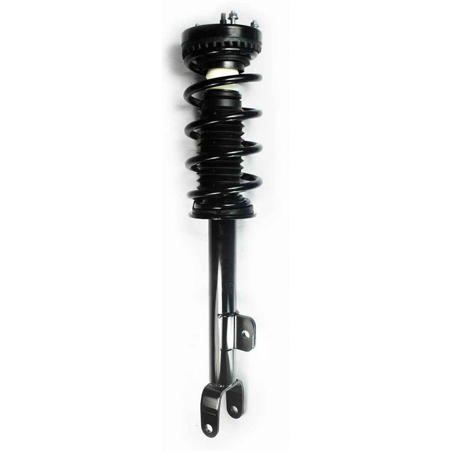 Suspension Strut and Coil Spring Assembly
