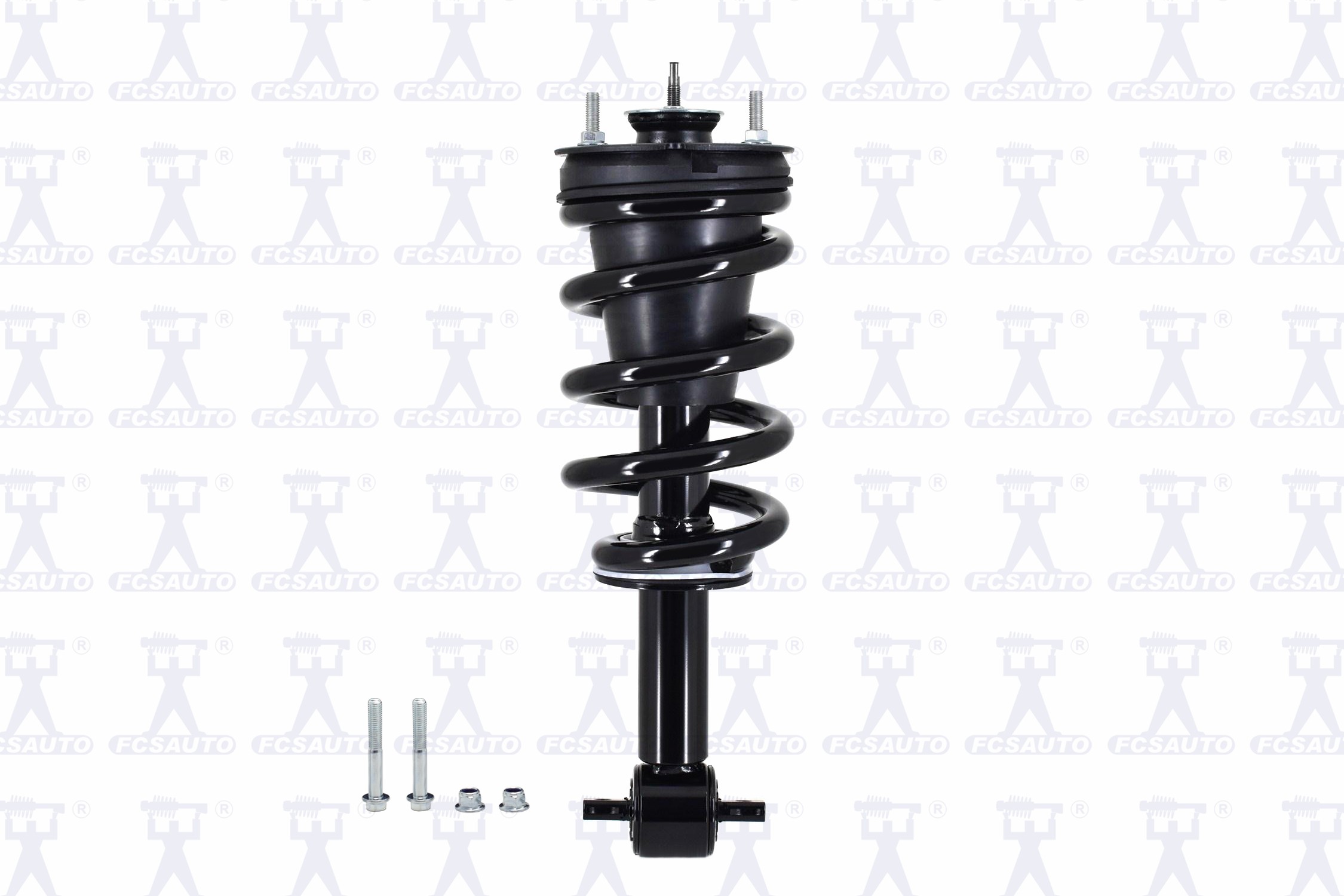 Suspension Strut and Coil Spring Assembly