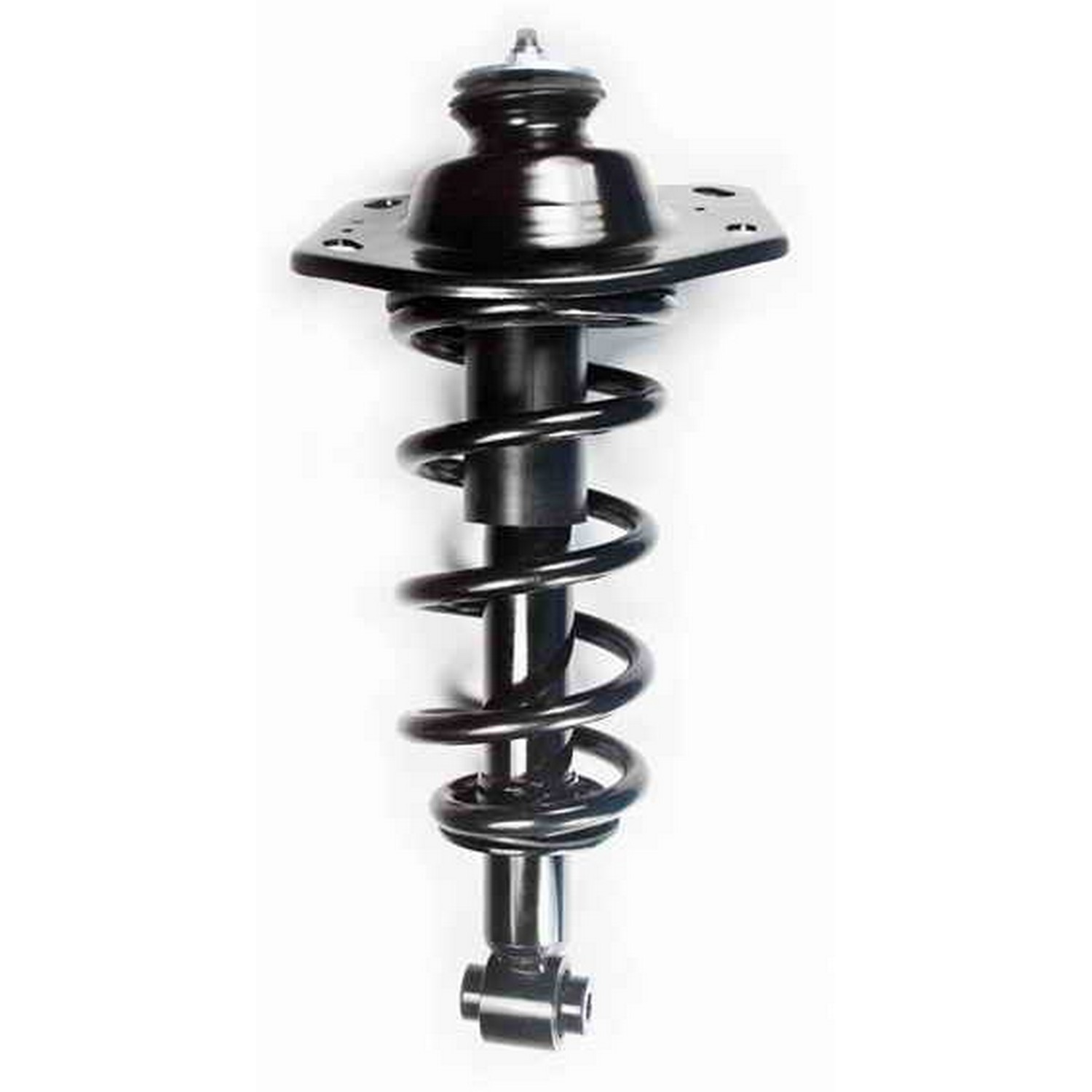 Suspension Strut and Coil Spring Assembly