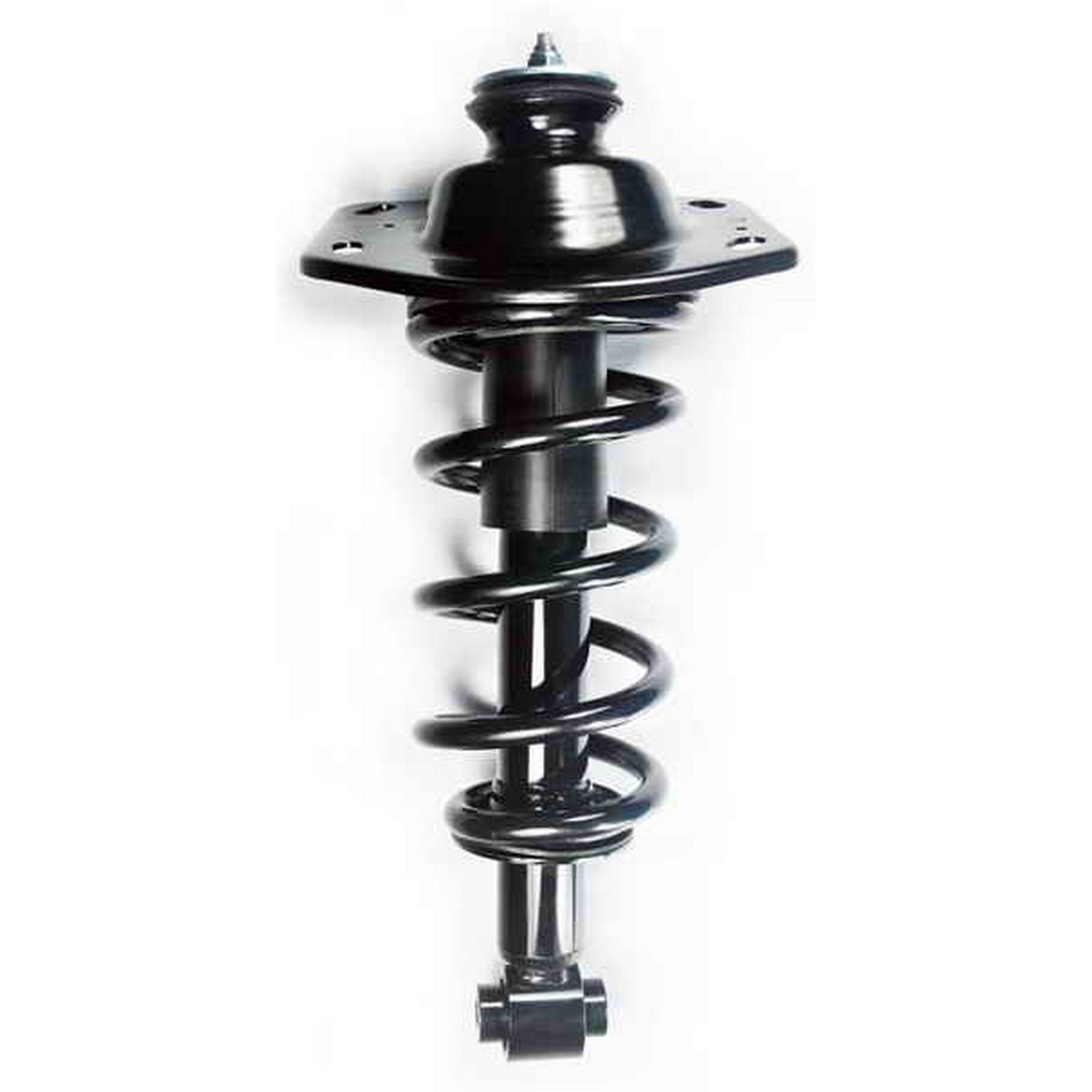 Suspension Strut and Coil Spring Assembly