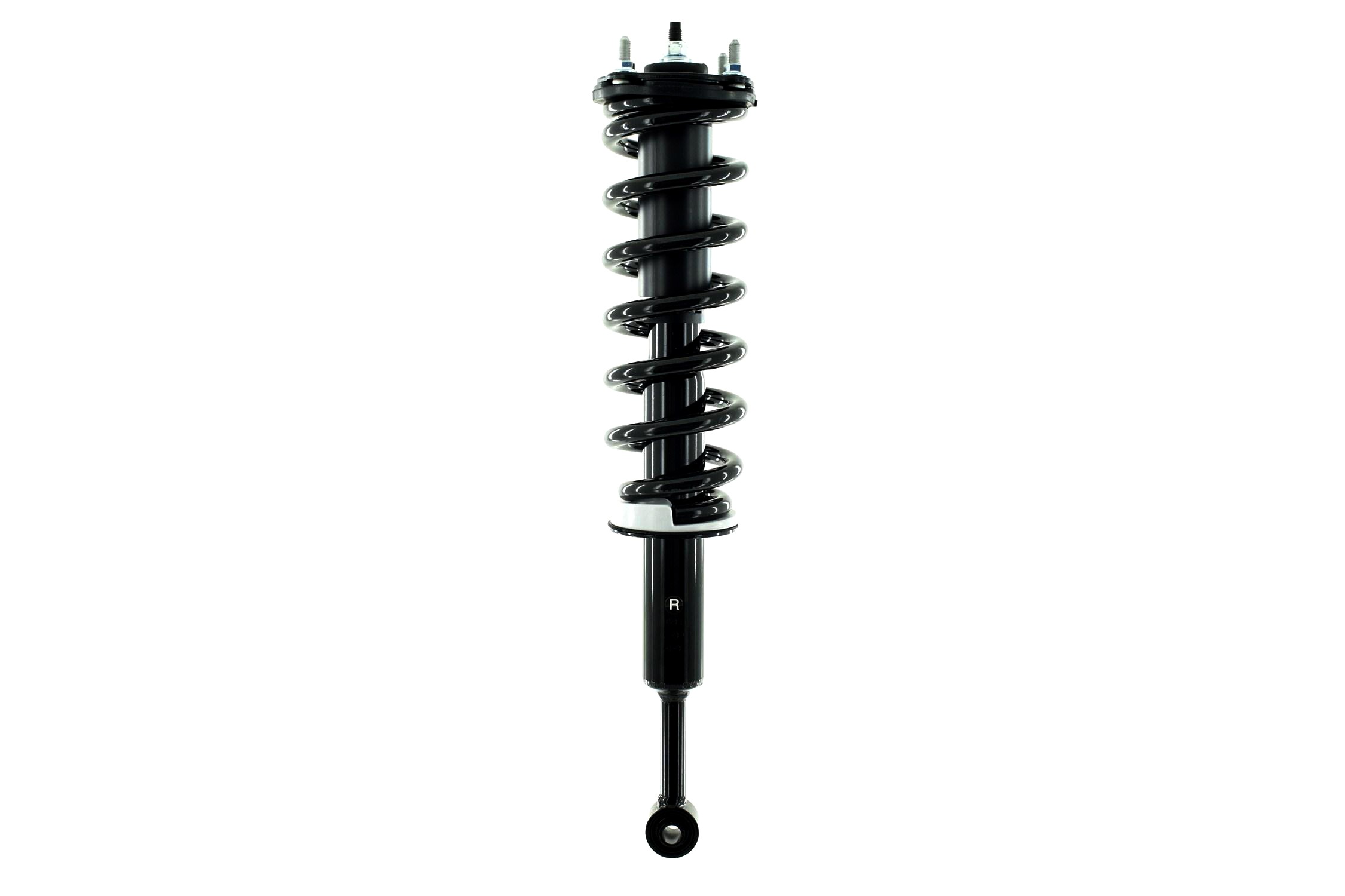Suspension Strut and Coil Spring Assembly