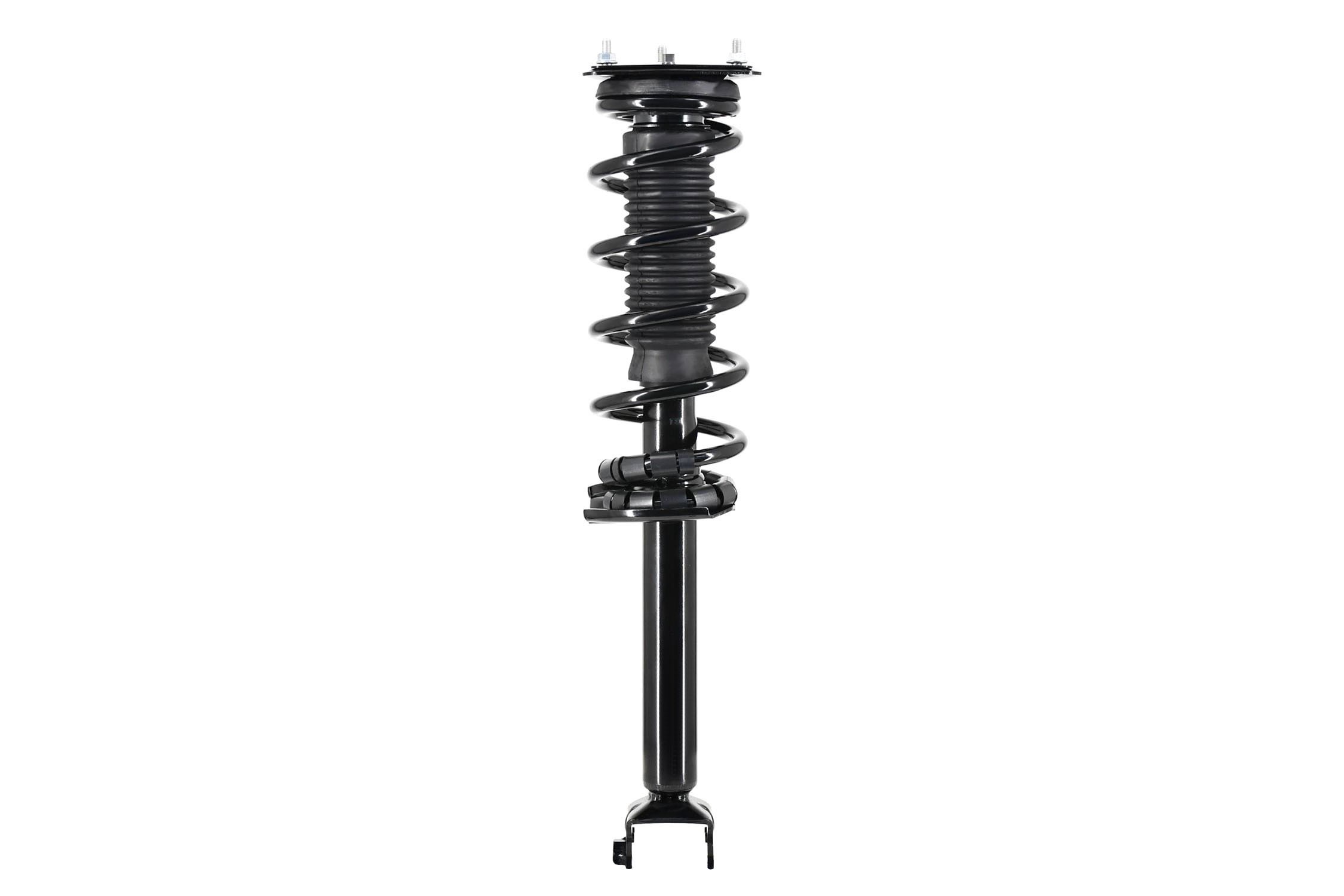 Suspension Strut and Coil Spring Assembly