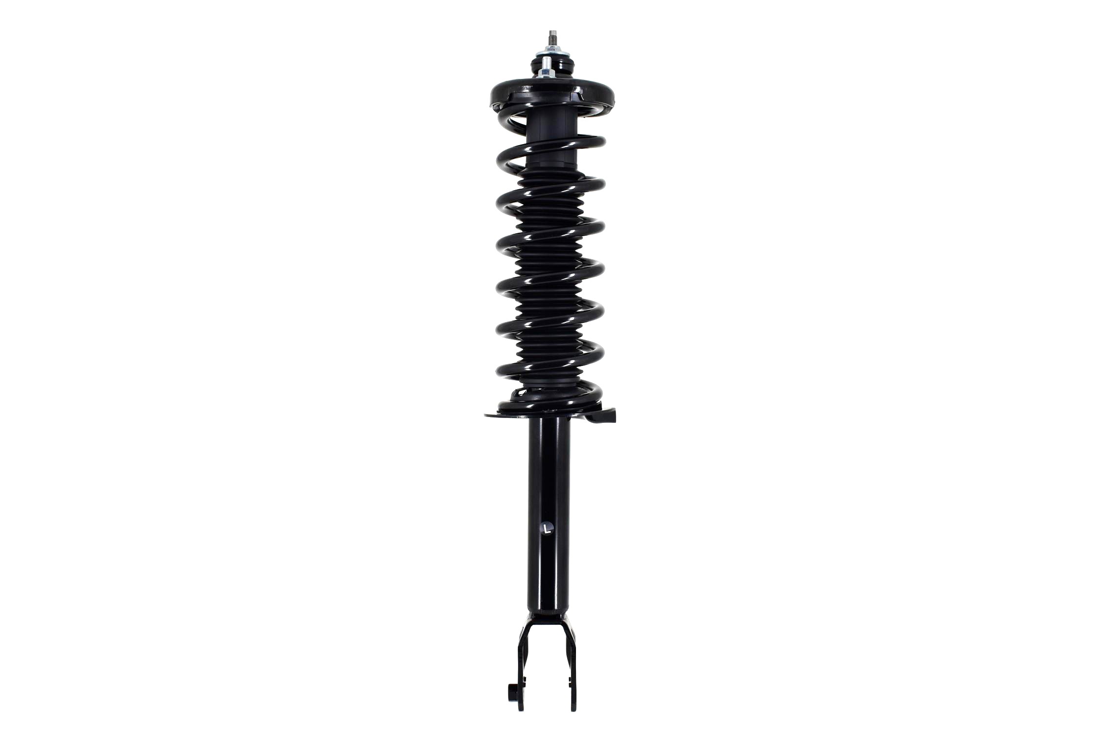 Suspension Strut and Coil Spring Assembly