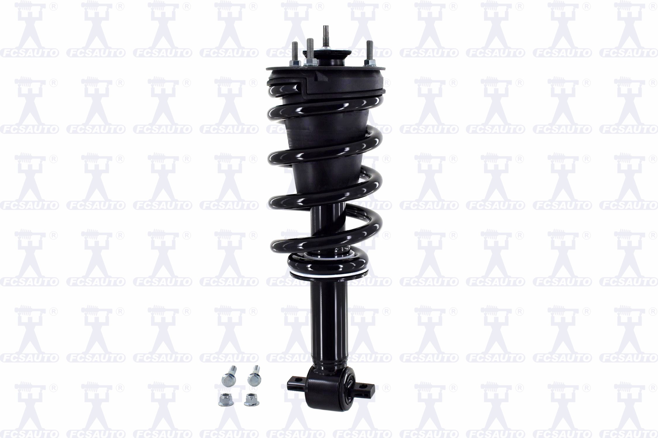 Suspension Strut and Coil Spring Assembly
