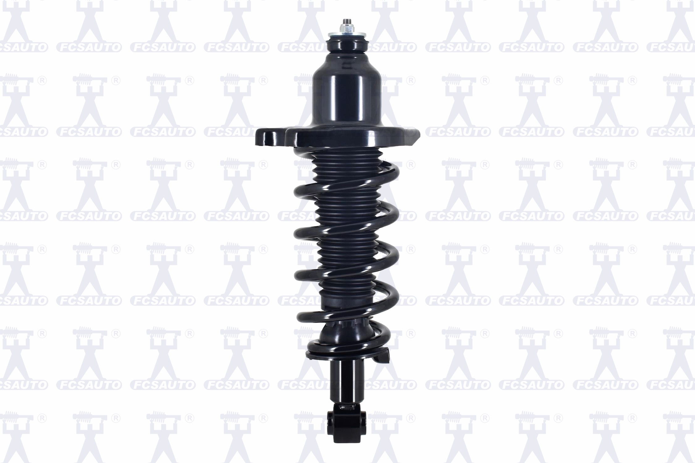 Suspension Strut and Coil Spring Assembly