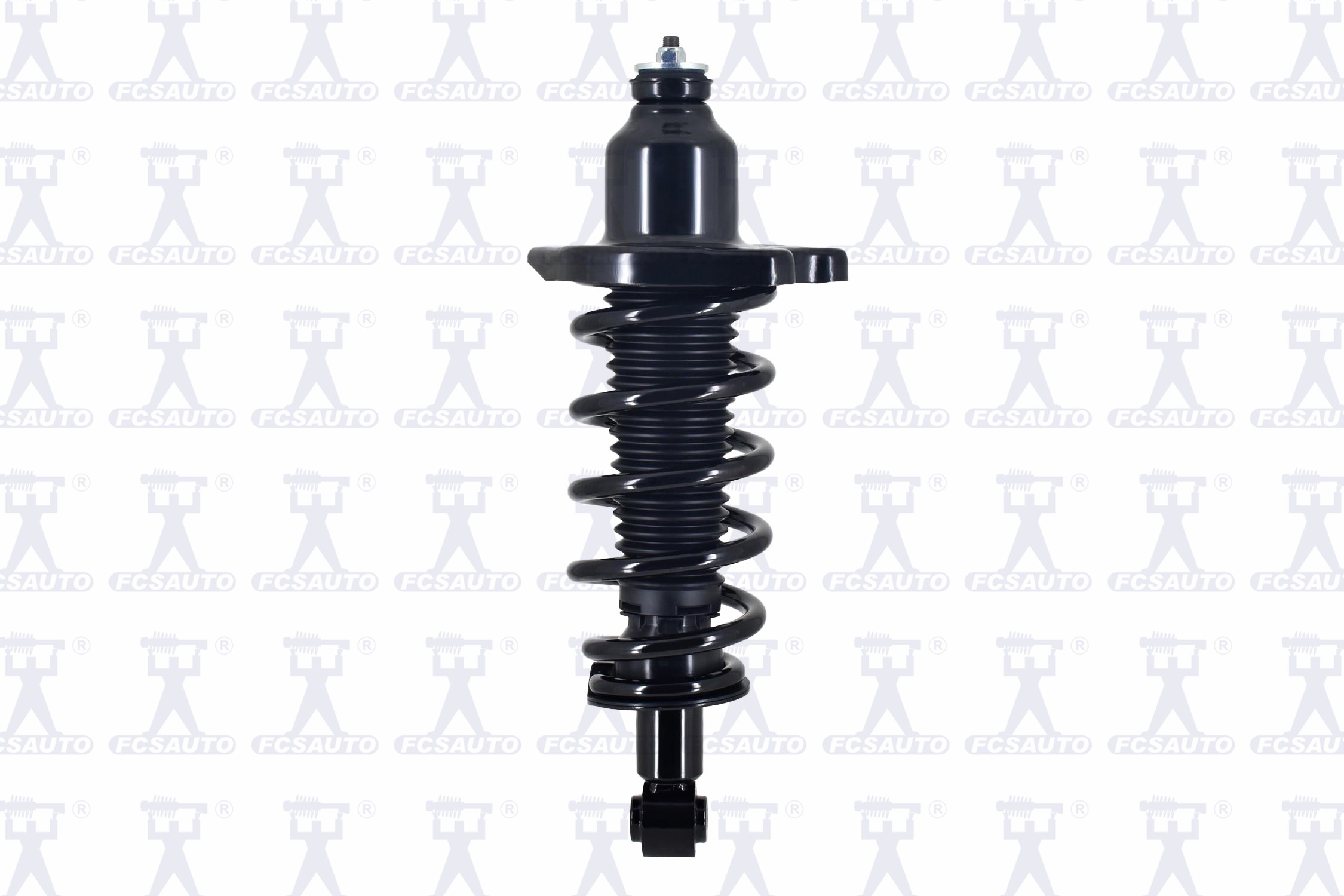 Suspension Strut and Coil Spring Assembly