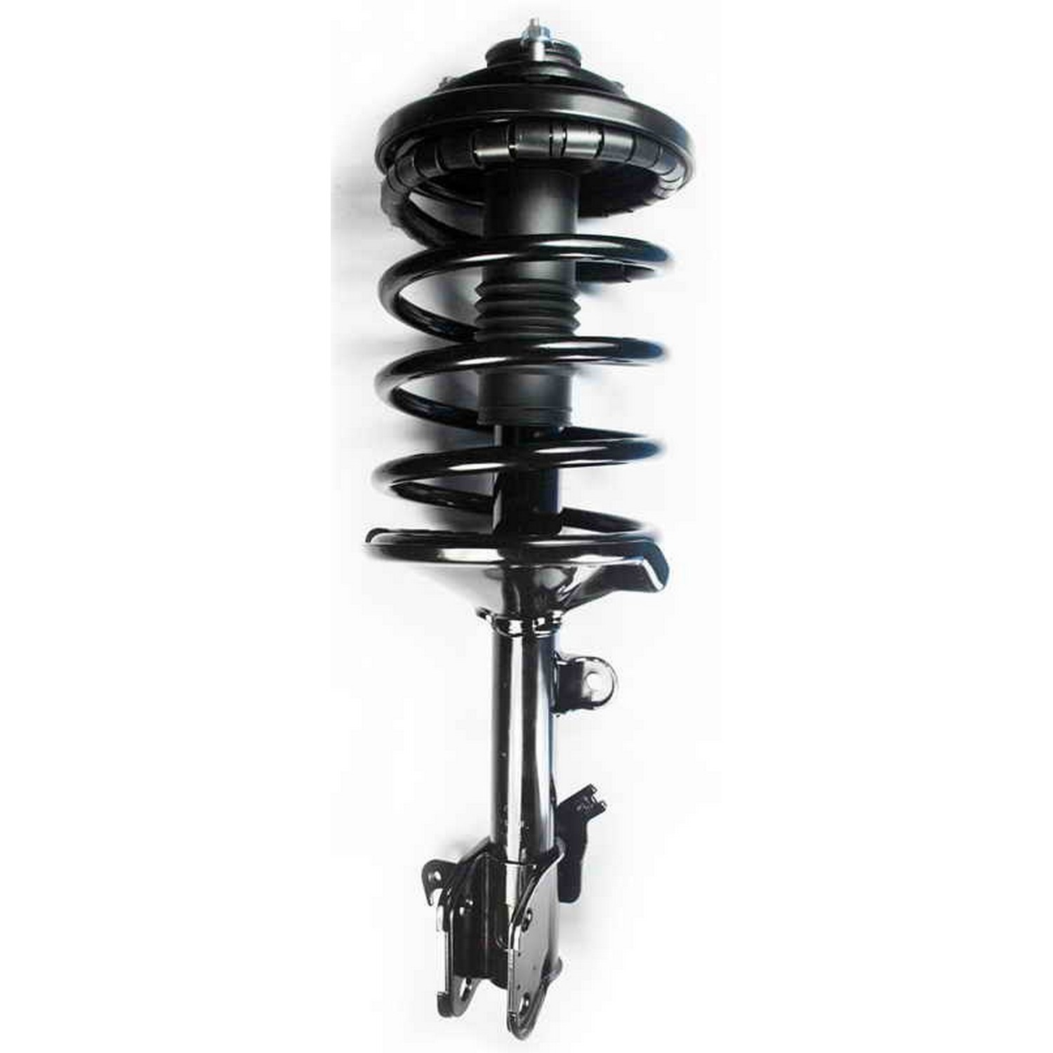 Suspension Strut and Coil Spring Assembly