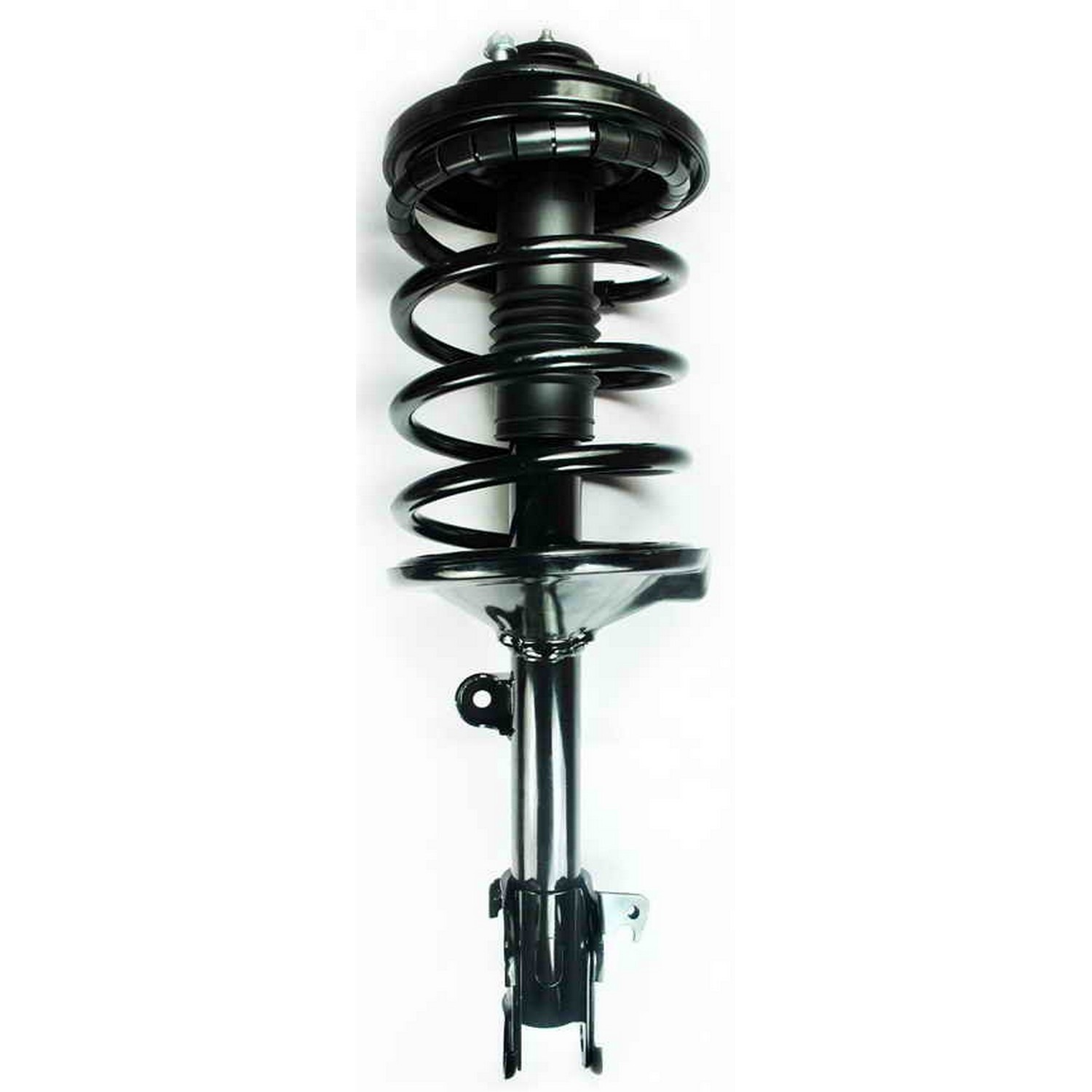 Suspension Strut and Coil Spring Assembly