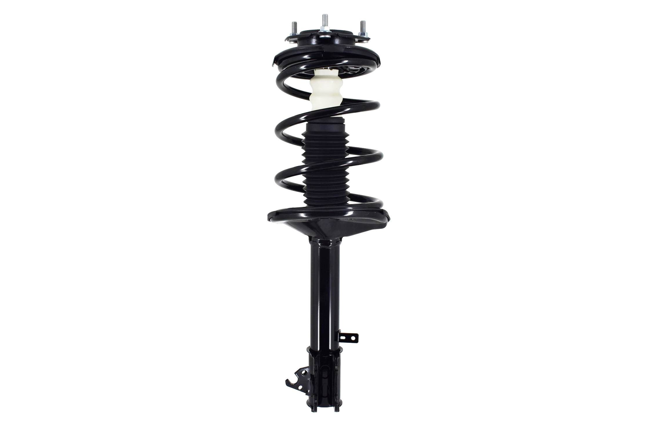 Suspension Strut and Coil Spring Assembly