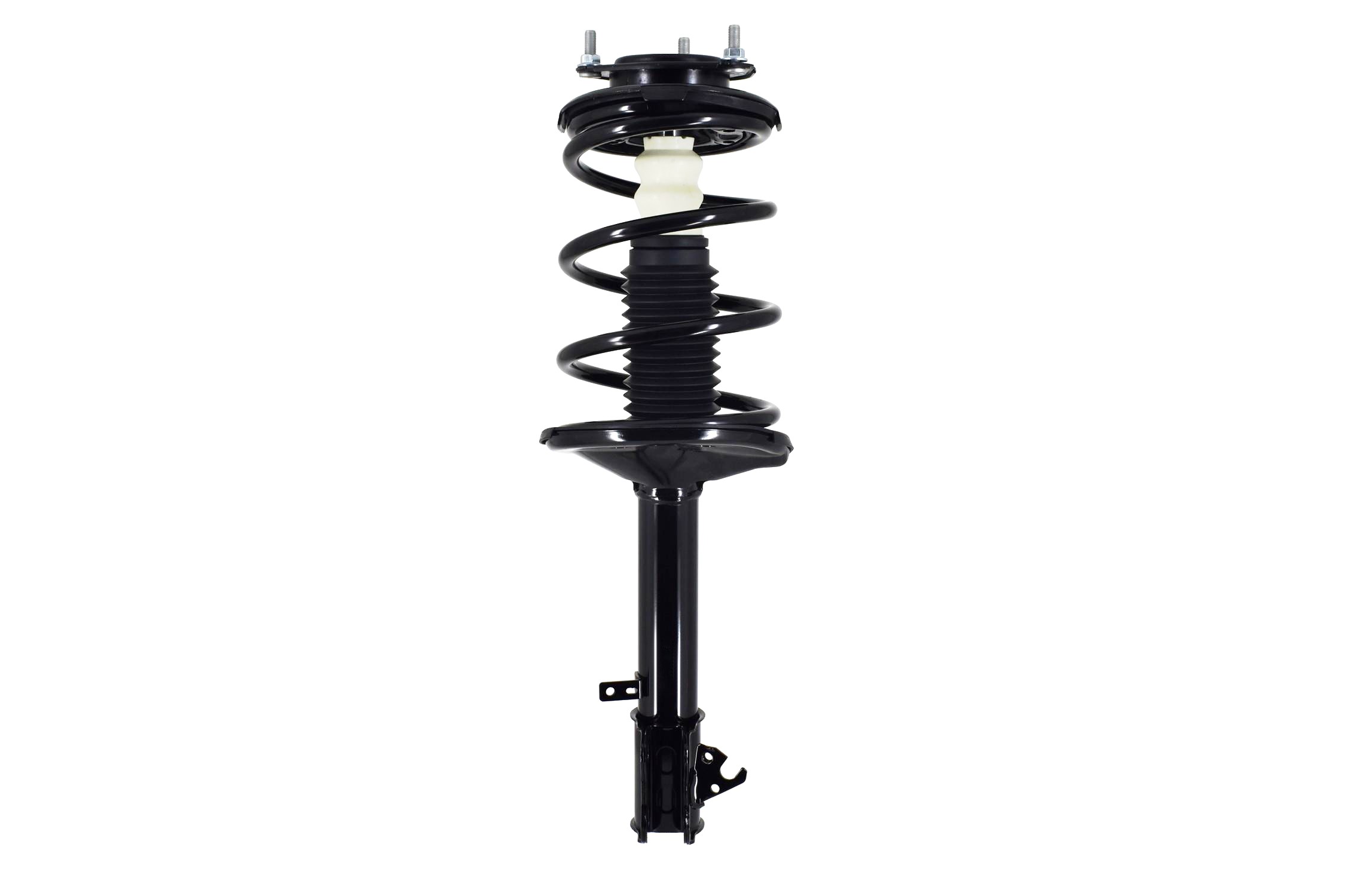 Suspension Strut and Coil Spring Assembly