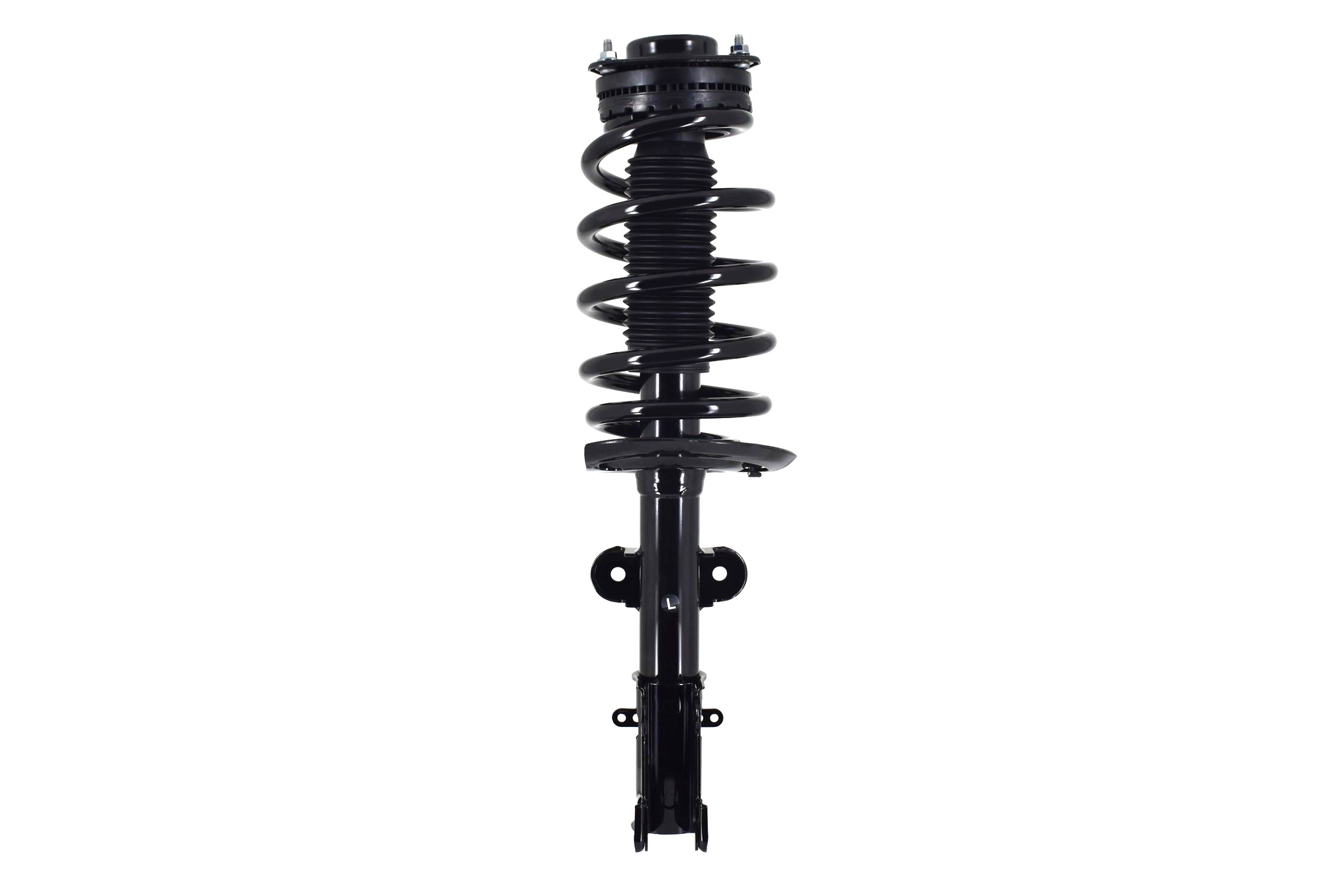 Suspension Strut and Coil Spring Assembly