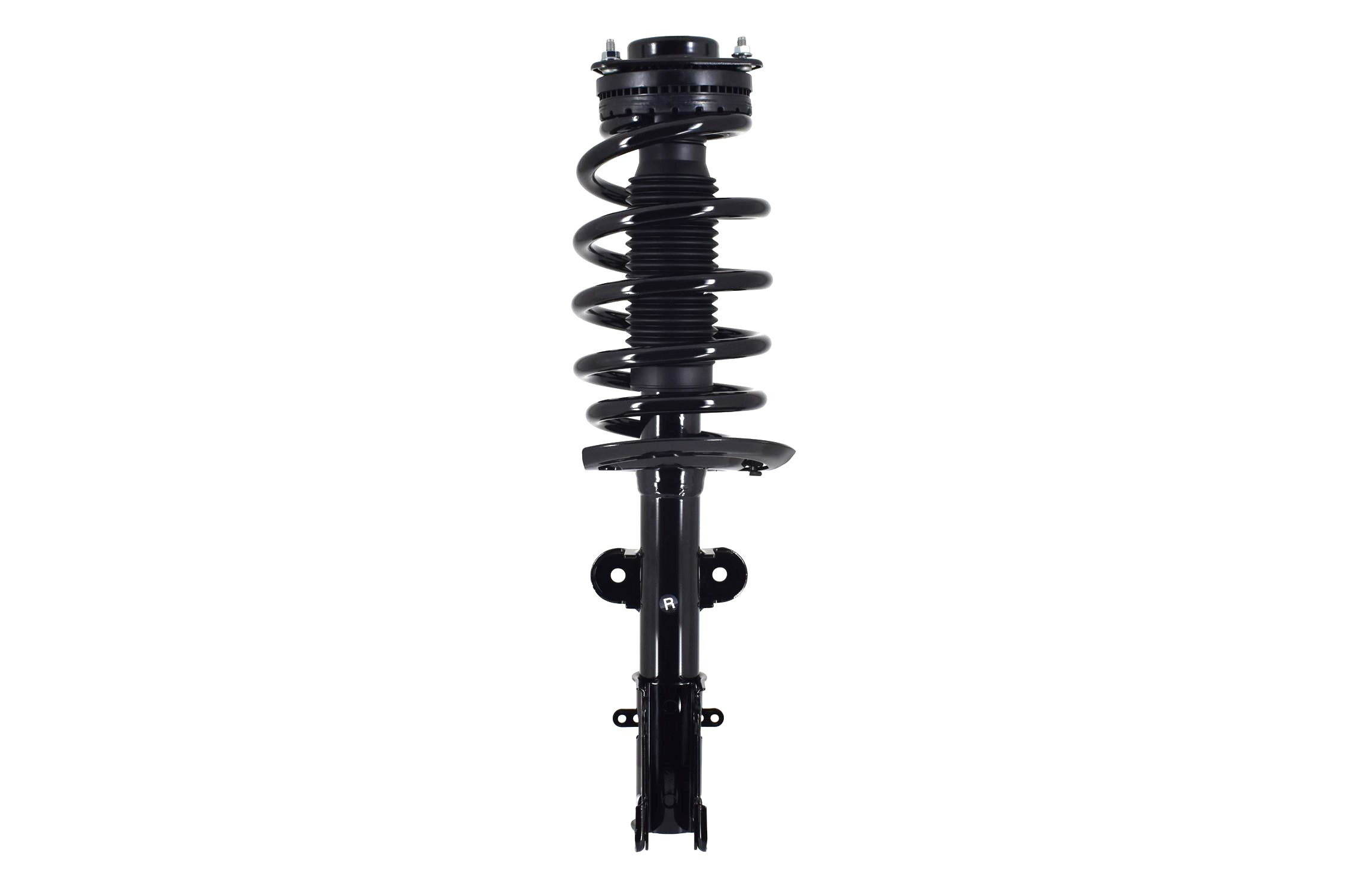 Suspension Strut and Coil Spring Assembly