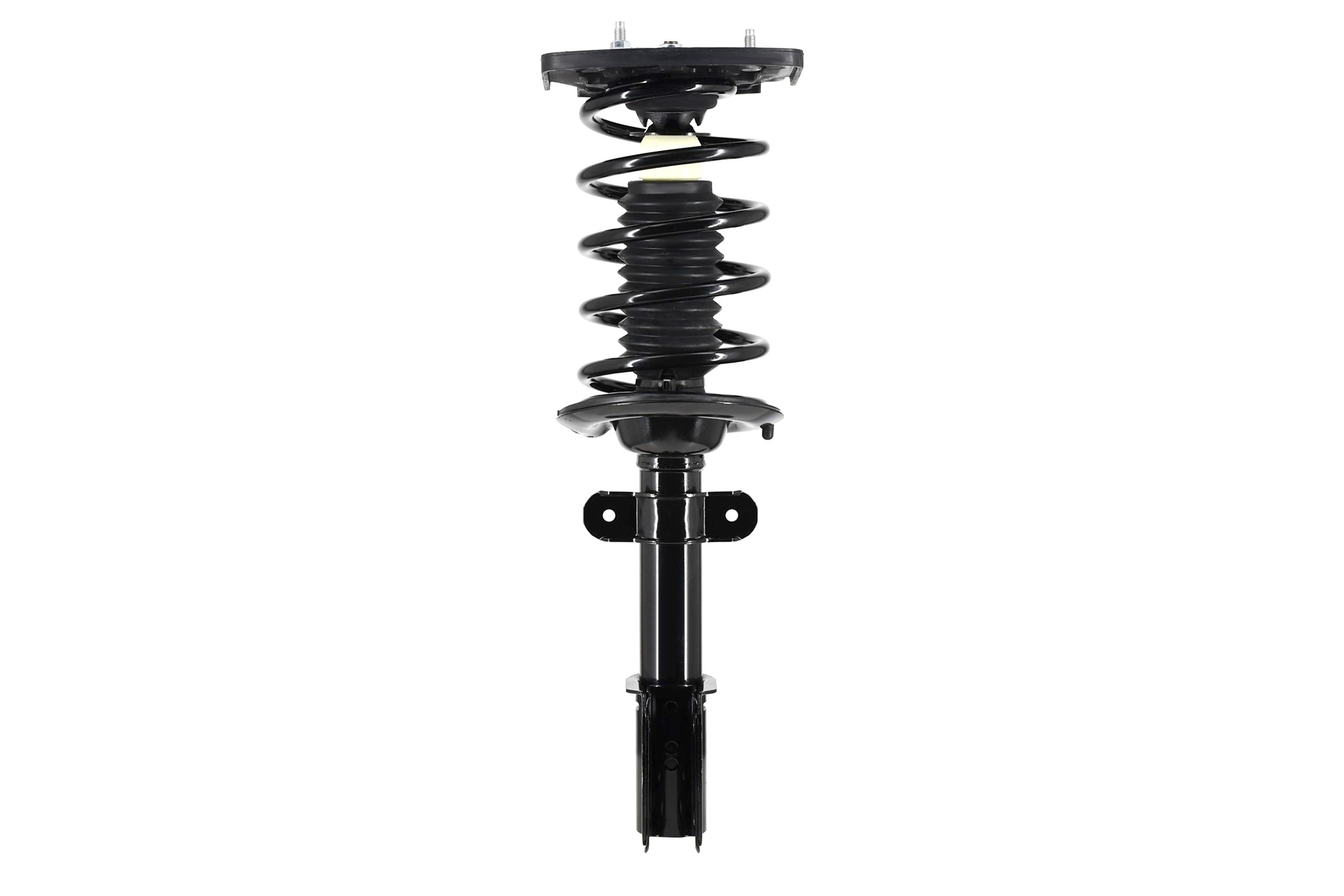 Suspension Strut and Coil Spring Assembly