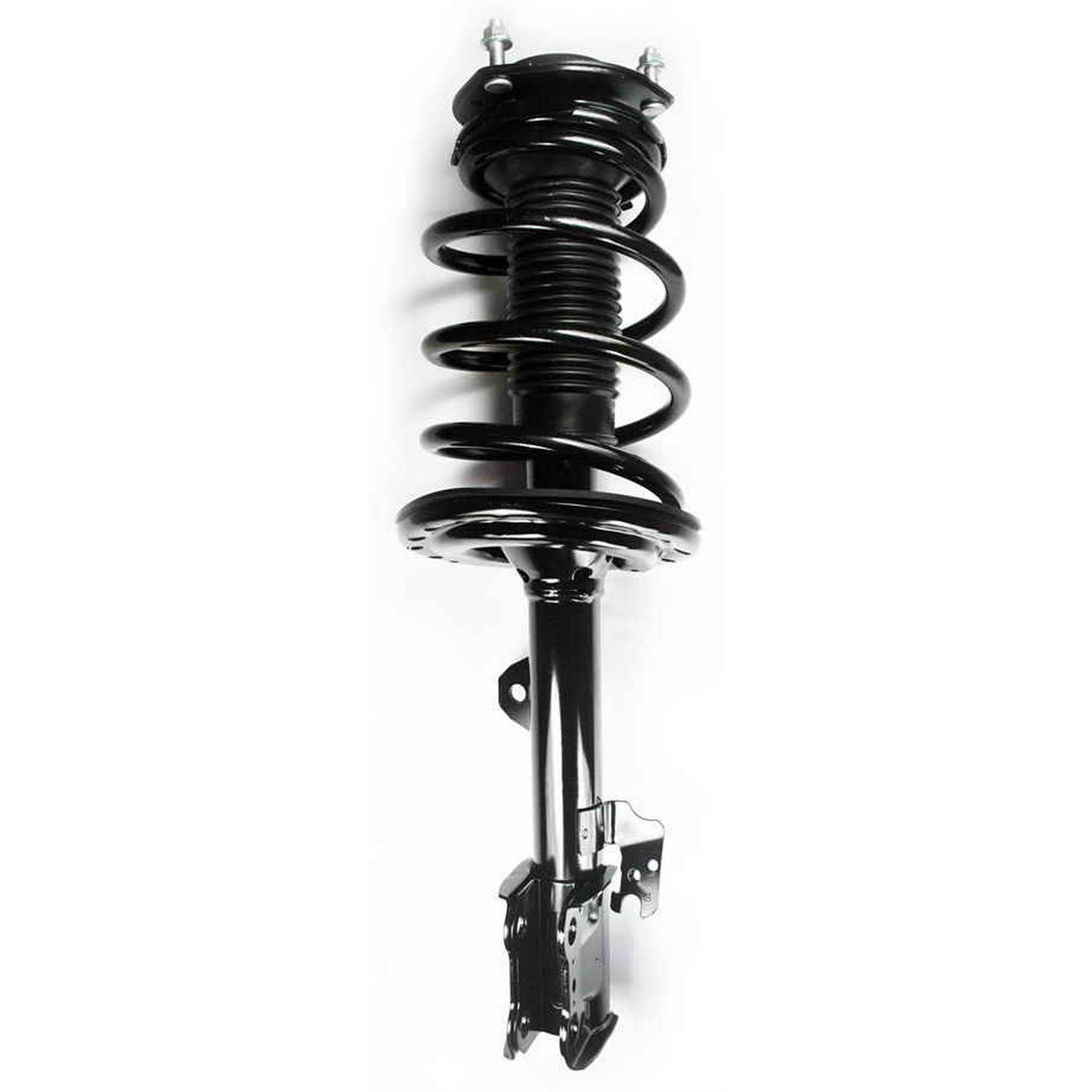 Suspension Strut and Coil Spring Assembly