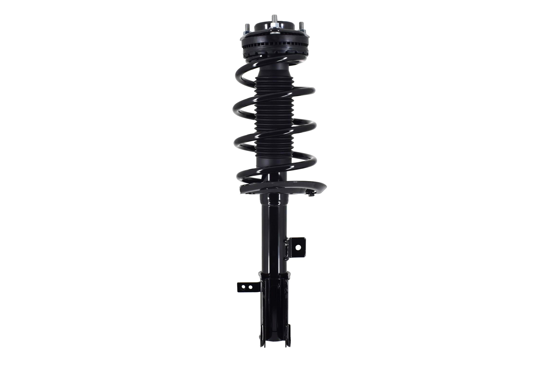 Suspension Strut and Coil Spring Assembly
