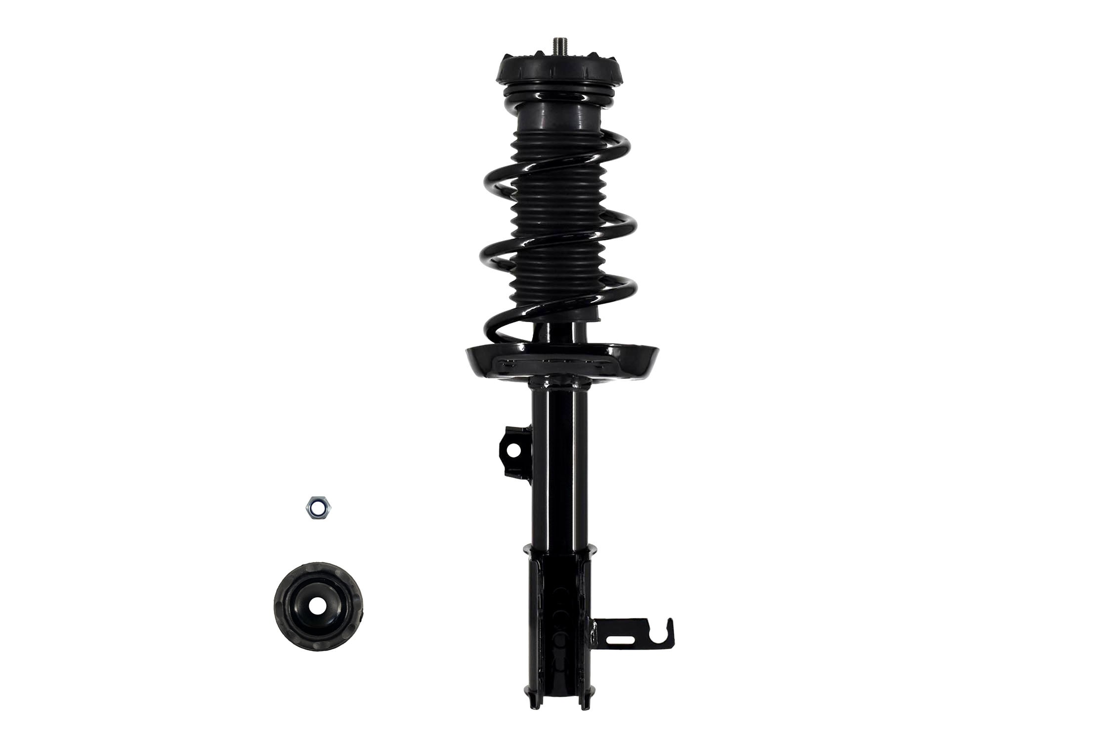 Suspension Strut and Coil Spring Assembly