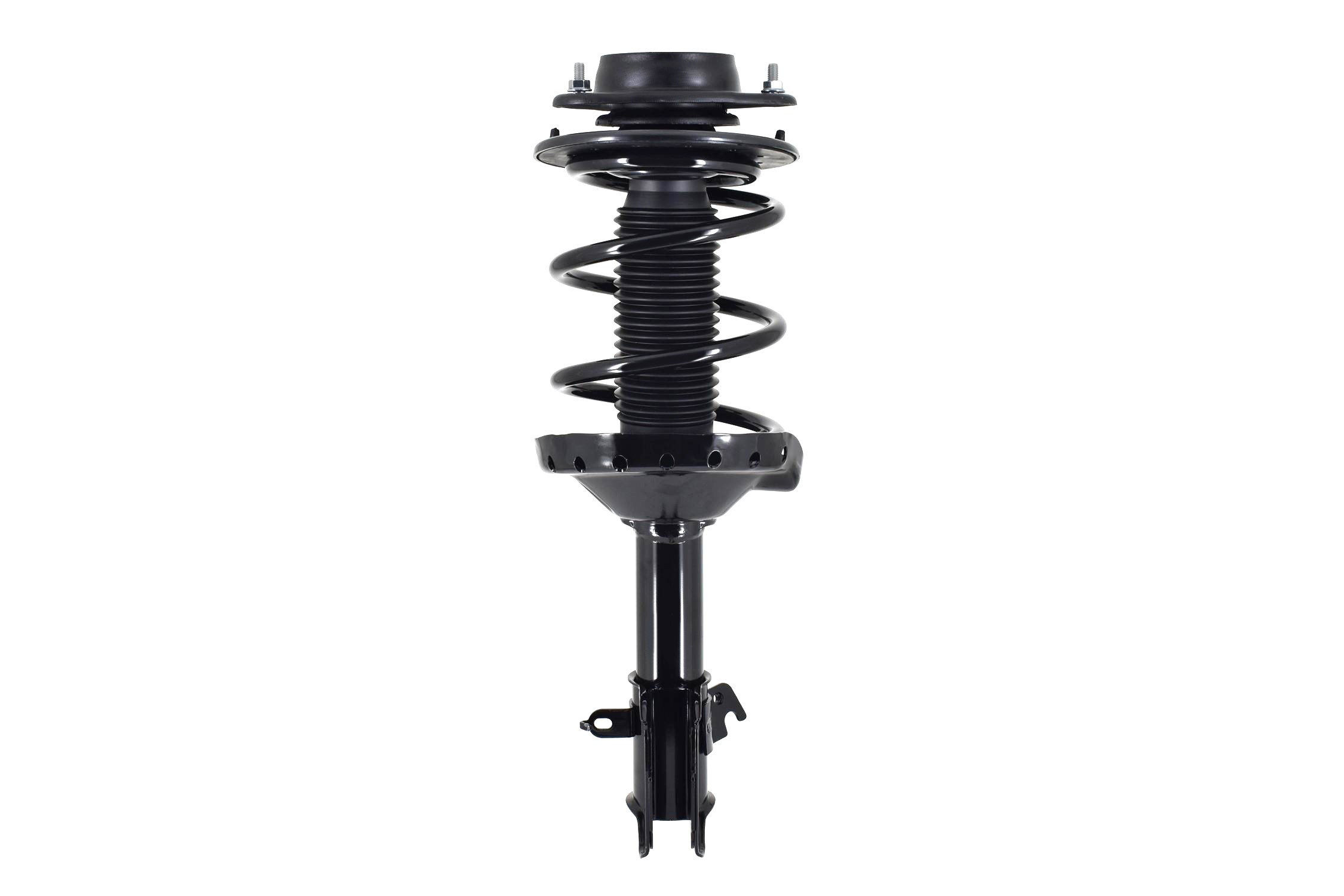 Suspension Strut and Coil Spring Assembly