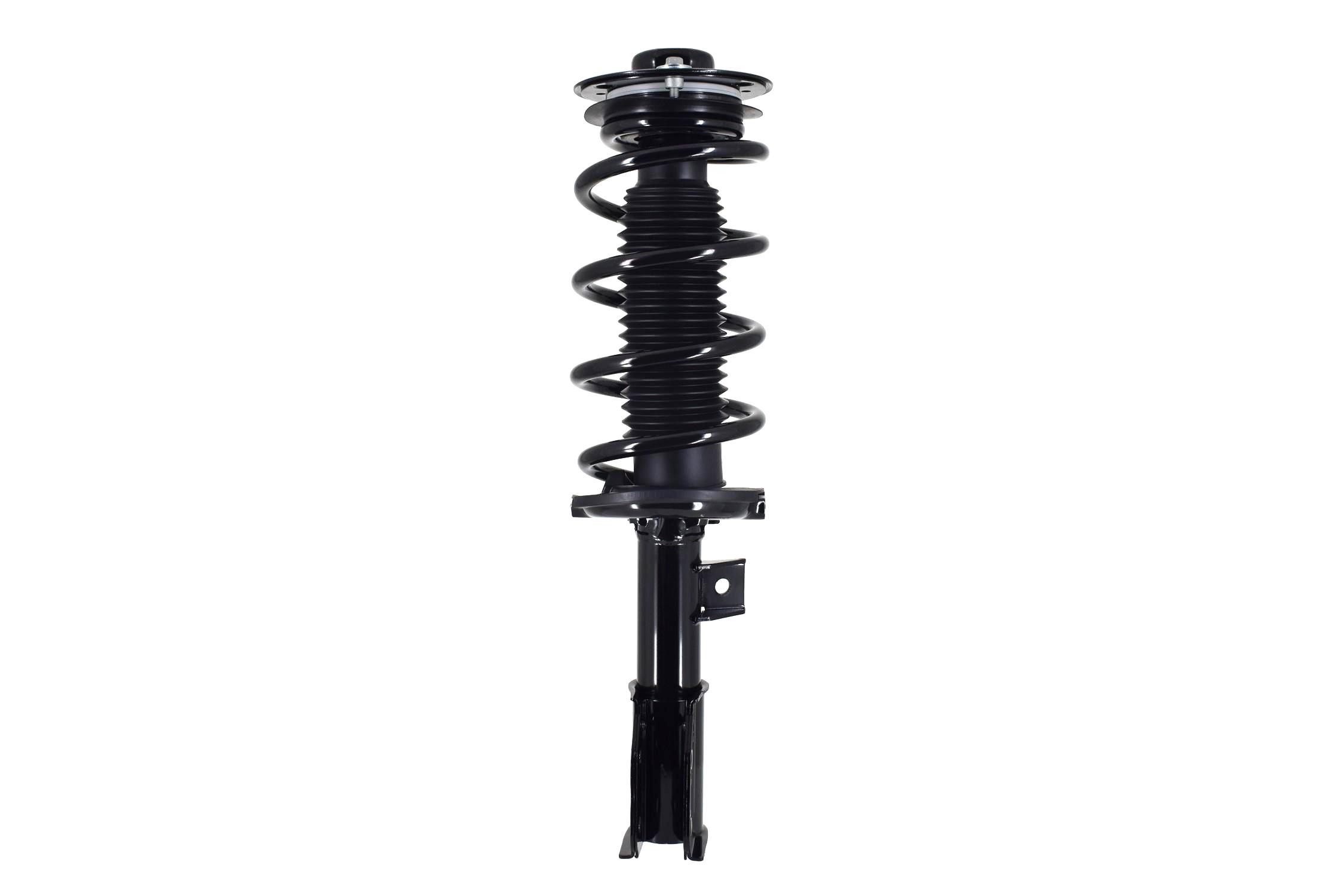 Suspension Strut and Coil Spring Assembly