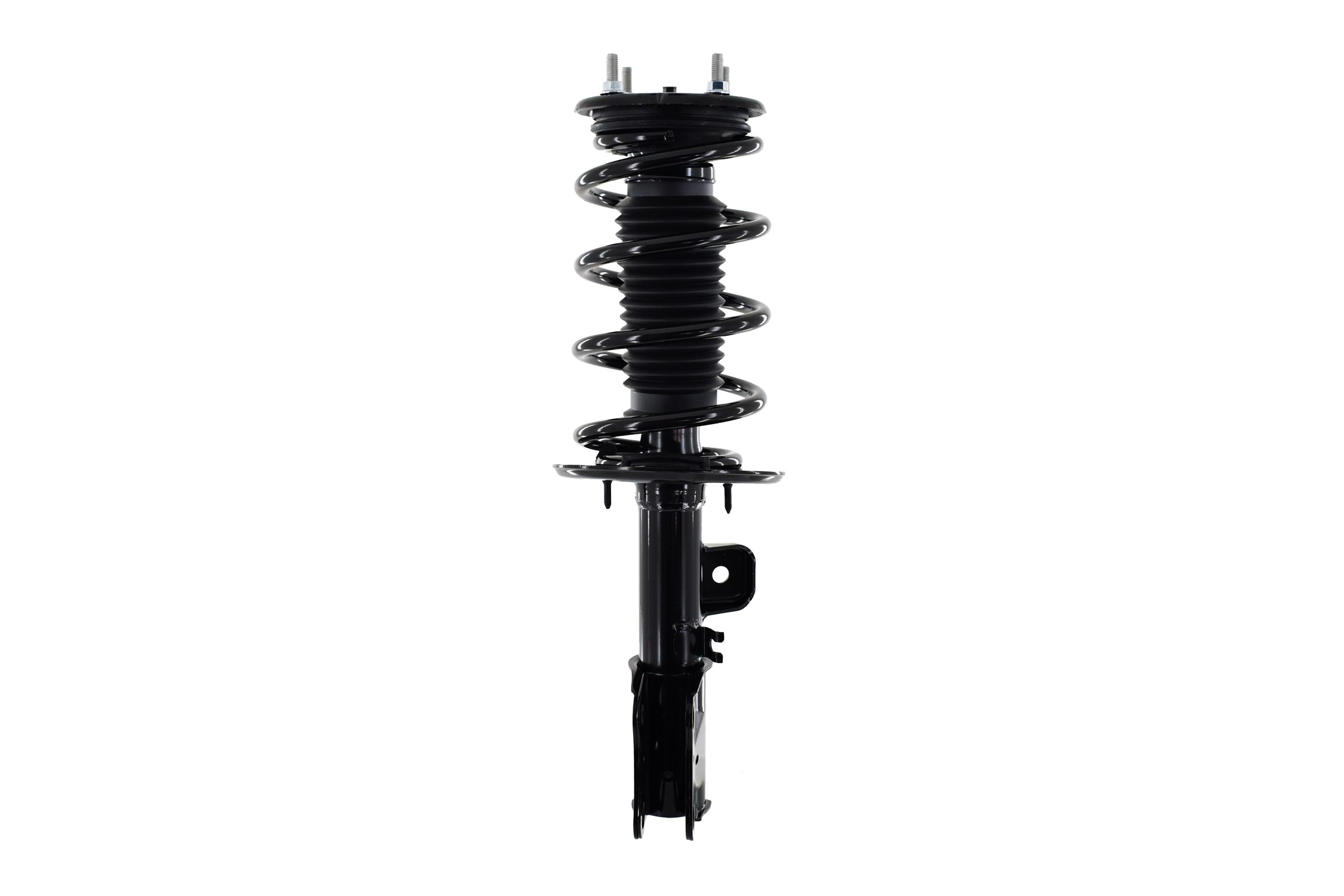 Suspension Strut and Coil Spring Assembly