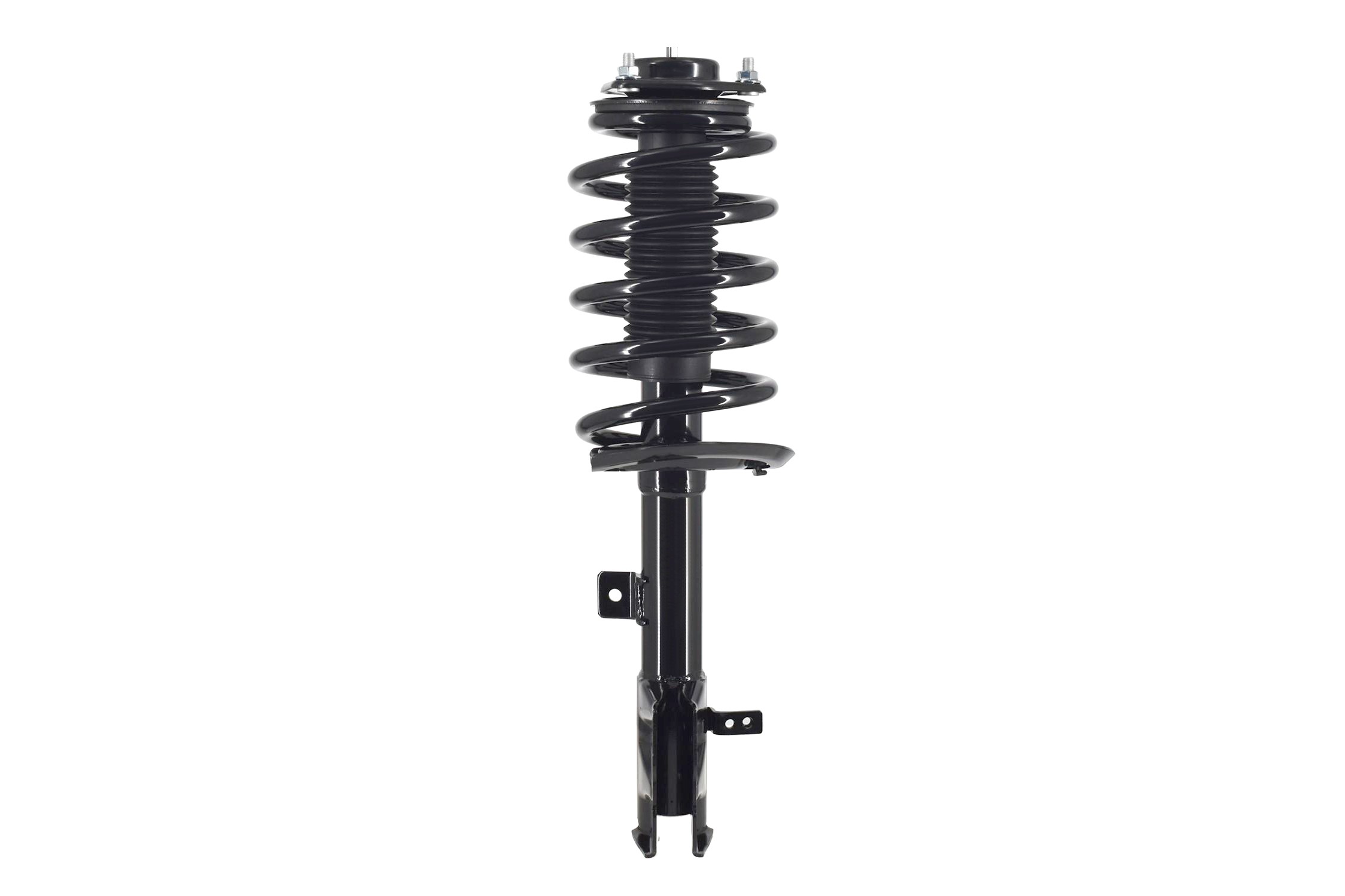 Suspension Strut and Coil Spring Assembly