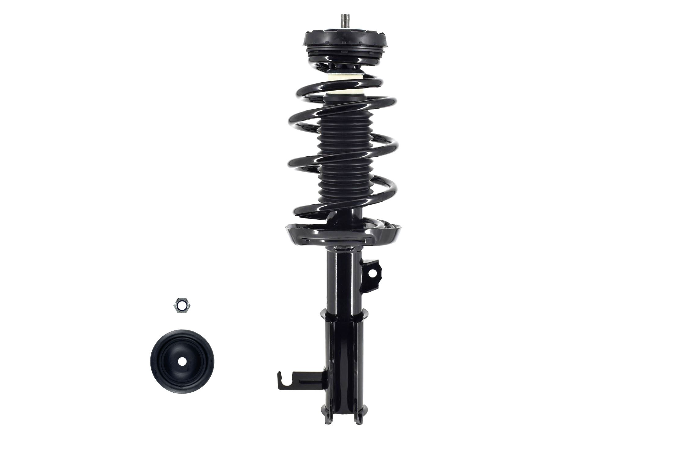 Suspension Strut and Coil Spring Assembly