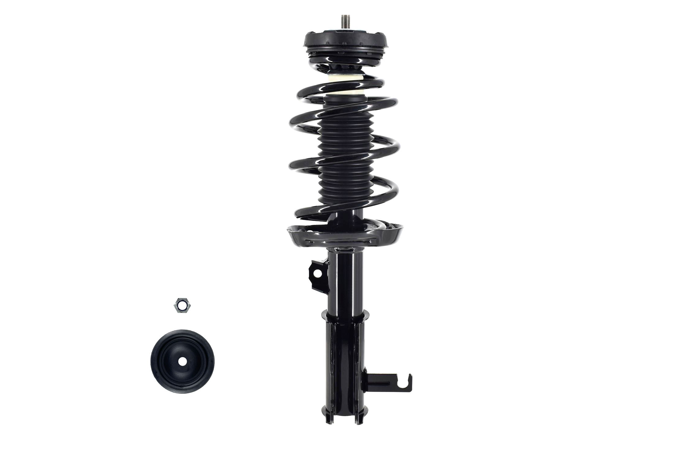 Suspension Strut and Coil Spring Assembly