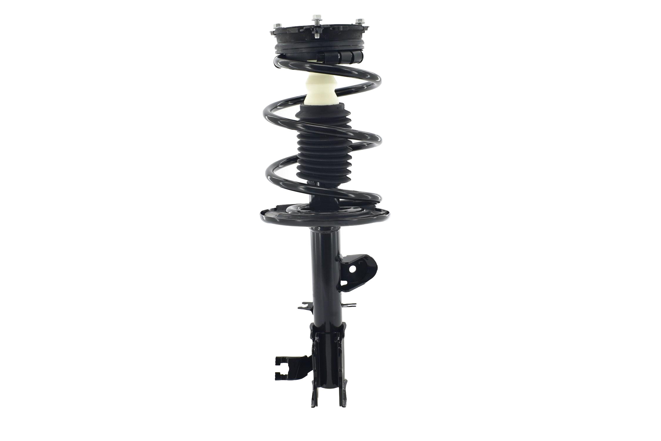 Suspension Strut and Coil Spring Assembly