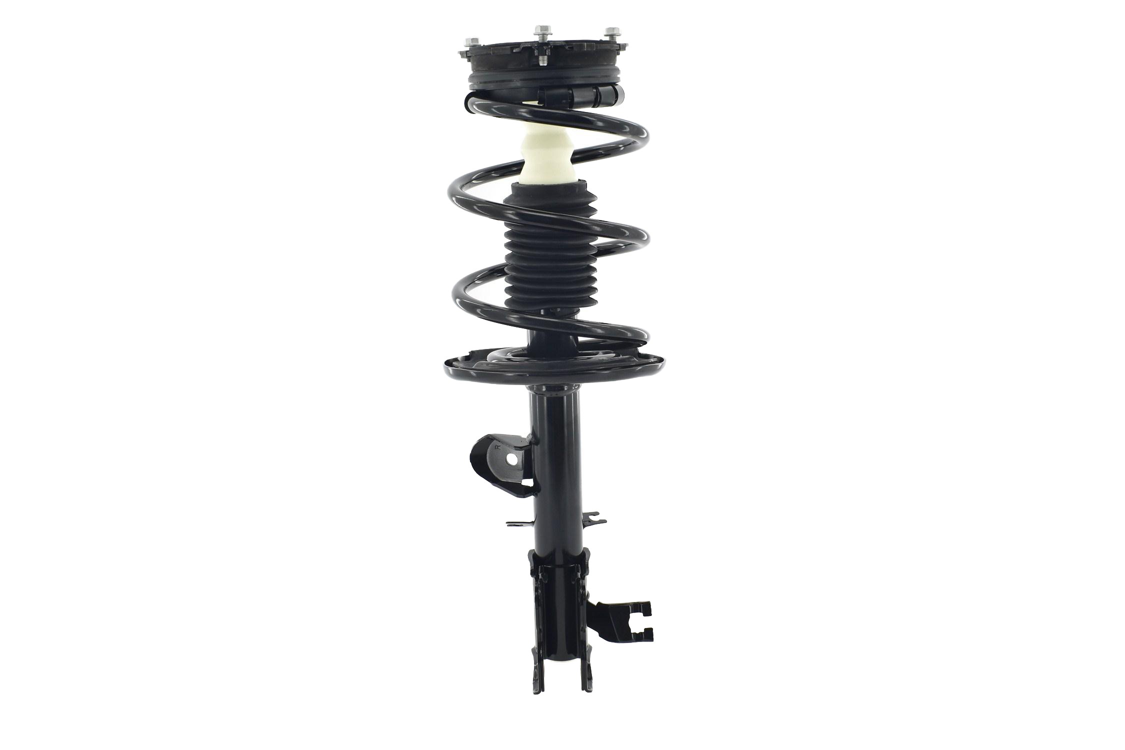 Suspension Strut and Coil Spring Assembly