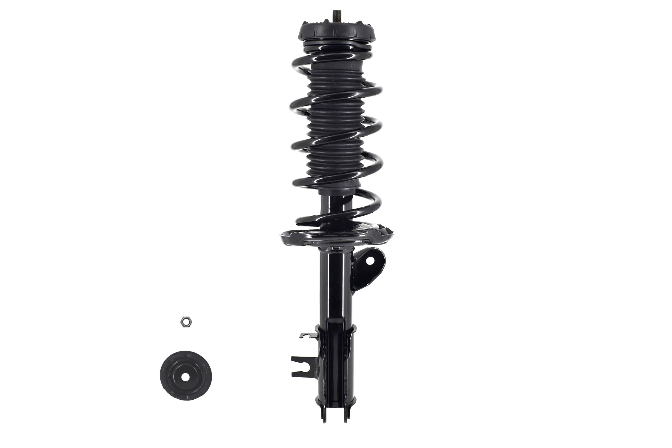 Suspension Strut and Coil Spring Assembly