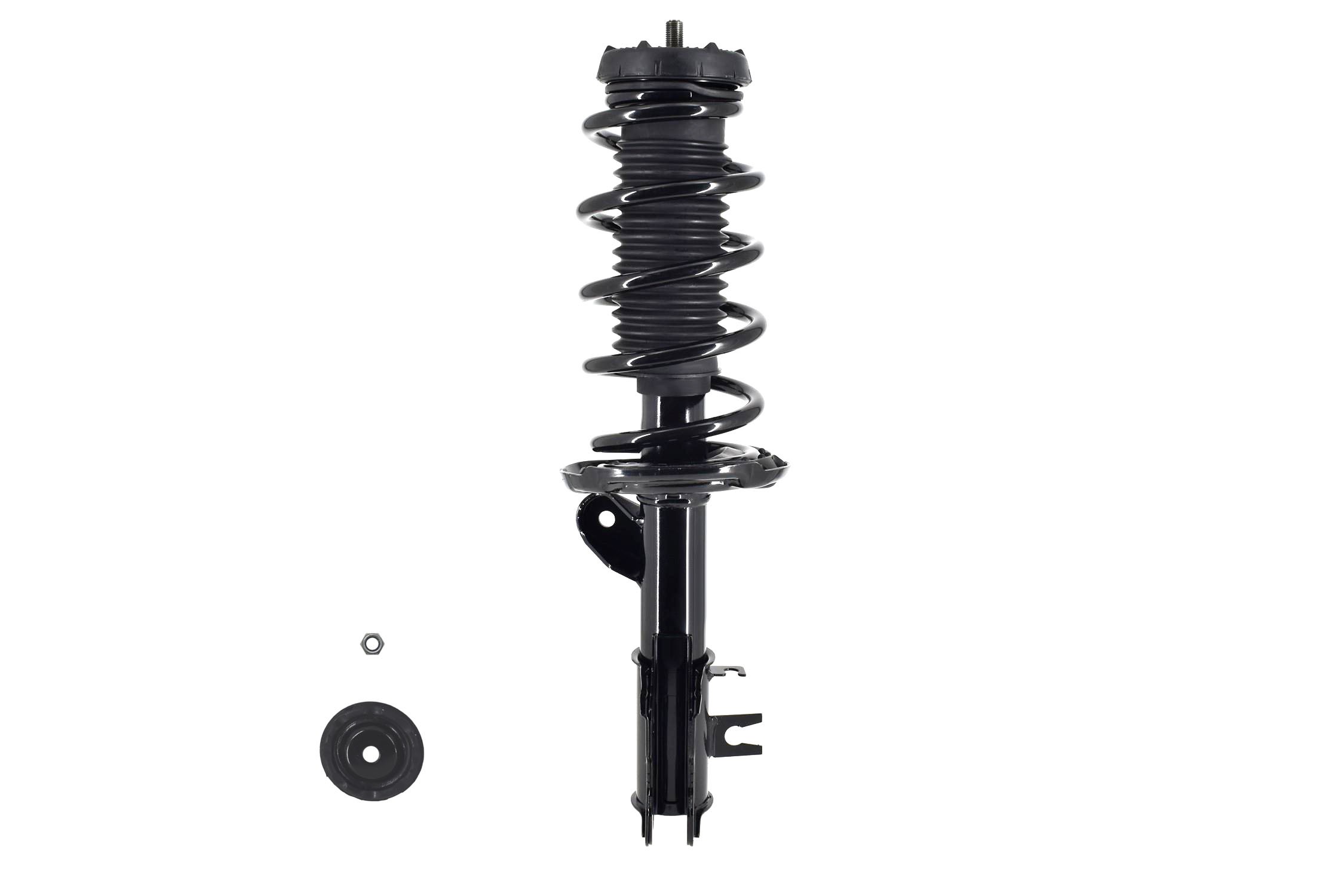 Suspension Strut and Coil Spring Assembly