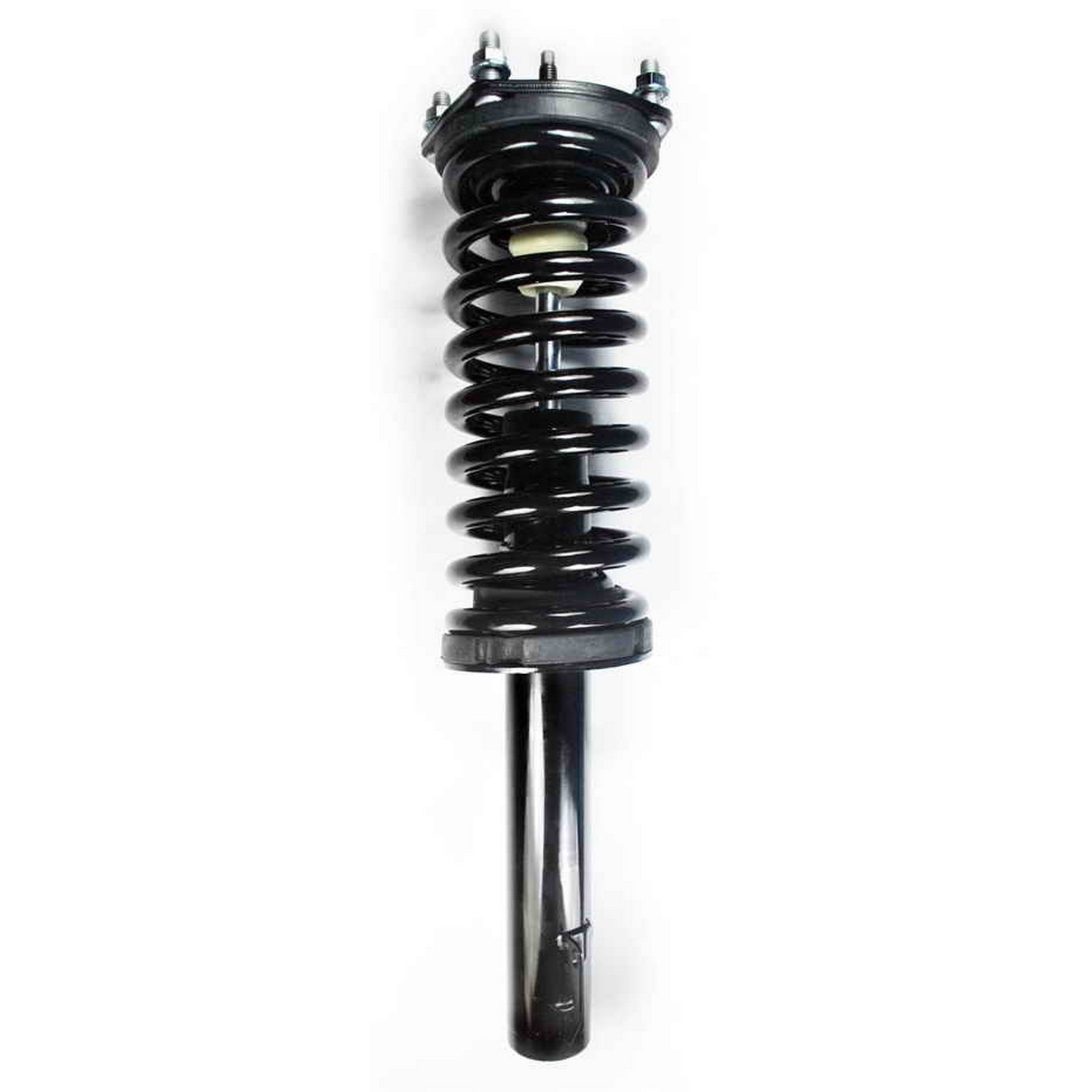 Suspension Strut and Coil Spring Assembly
