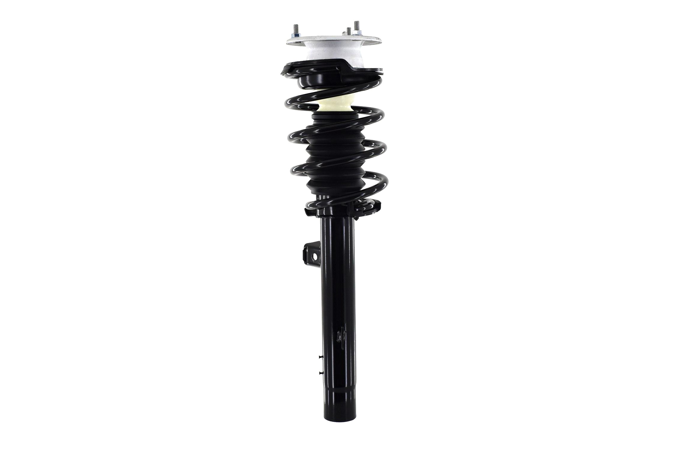 Suspension Strut and Coil Spring Assembly