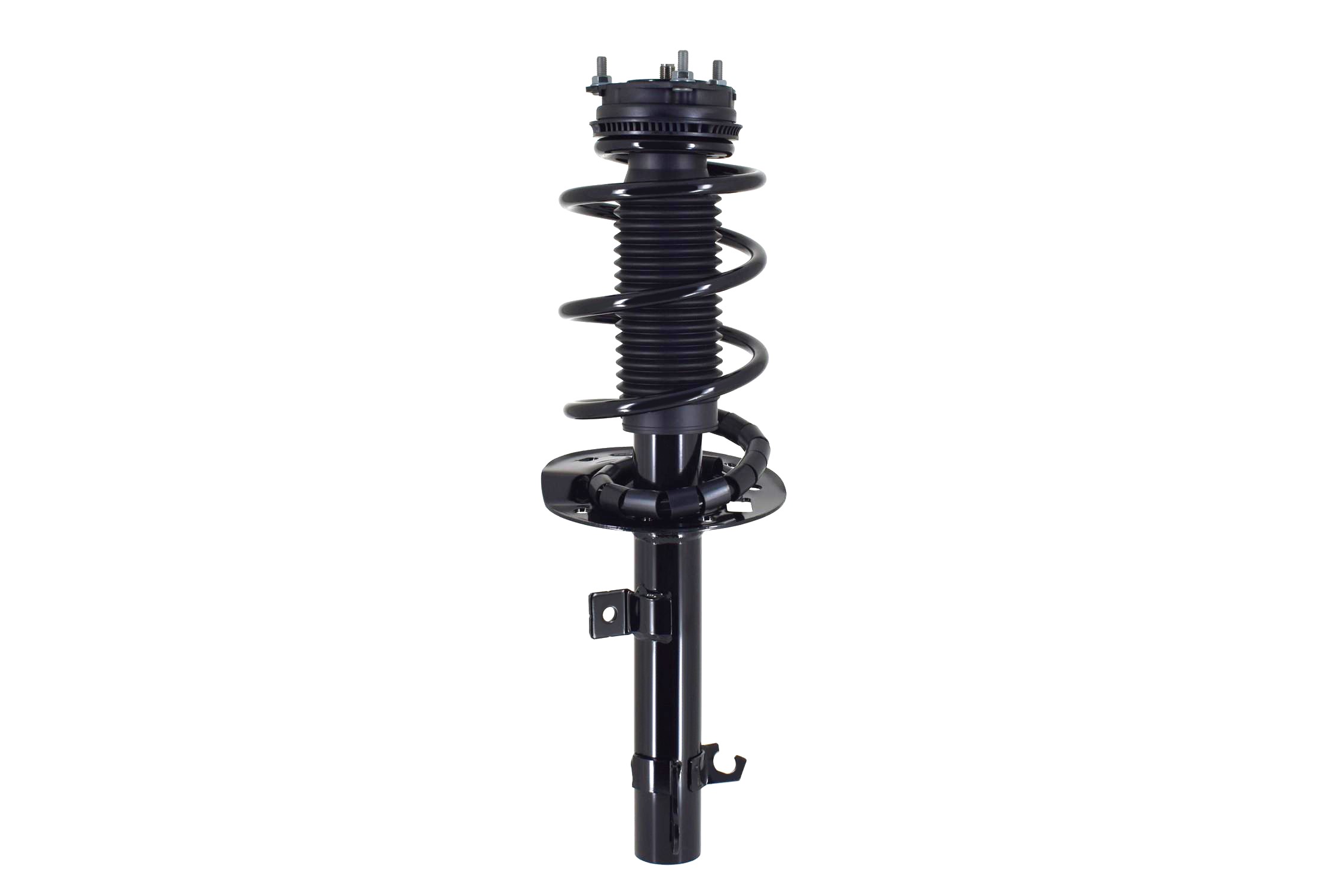 Suspension Strut and Coil Spring Assembly