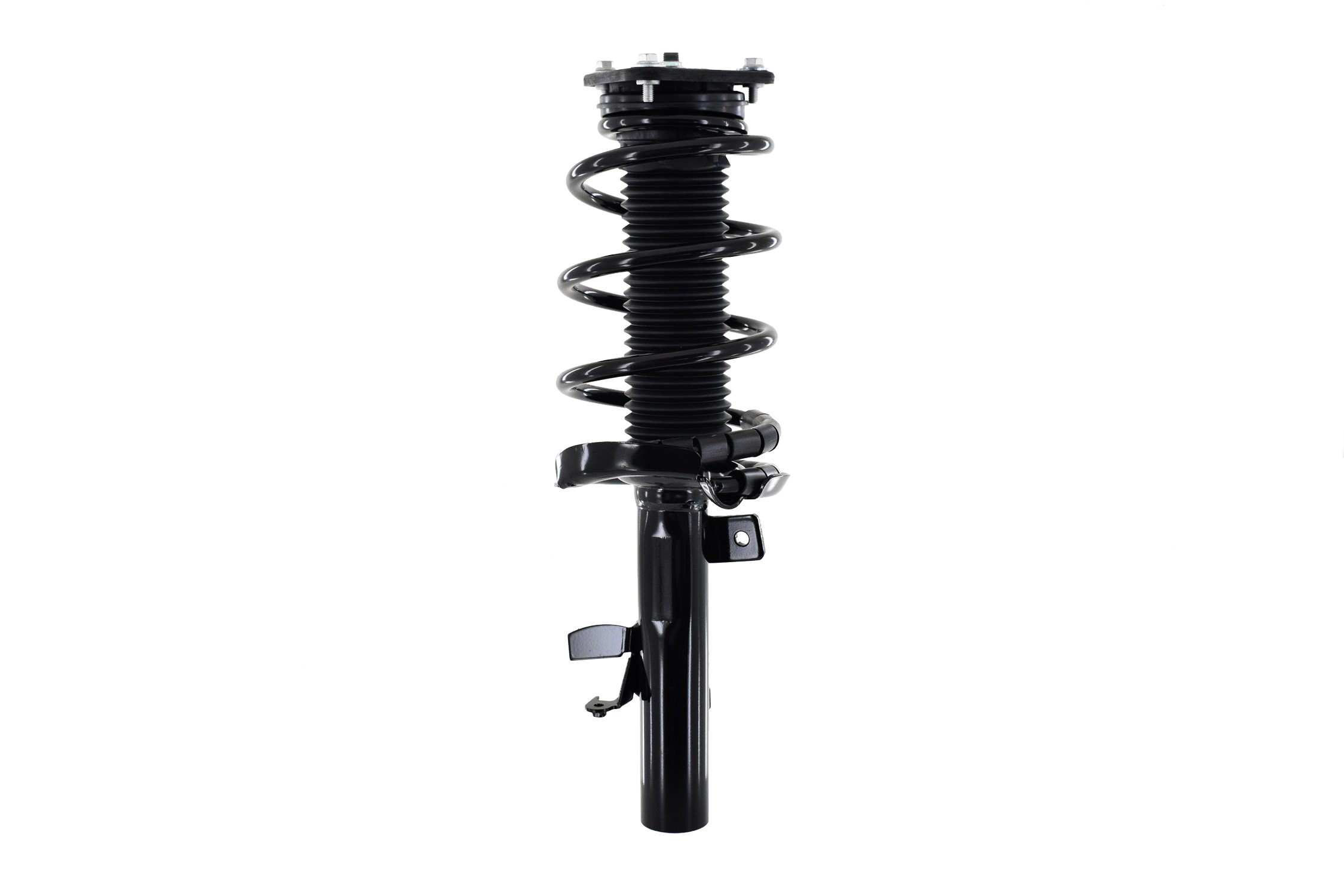 Suspension Strut and Coil Spring Assembly